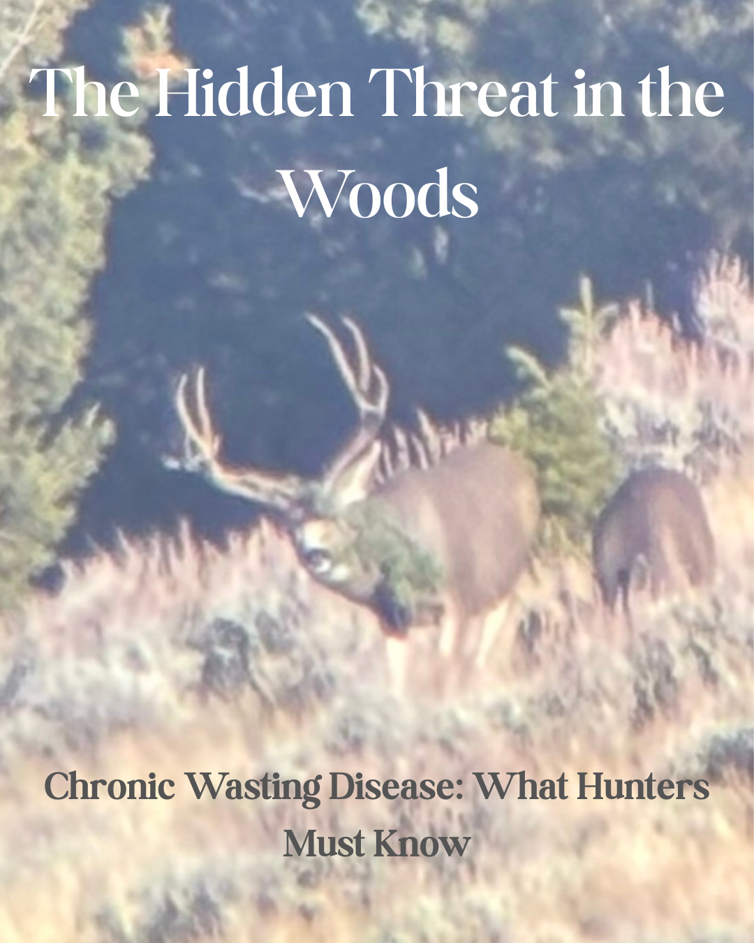 Deadnuts Outdoors Weekly: Week 1 - Chronic Wasting Disease and the Future of Deer Hunting