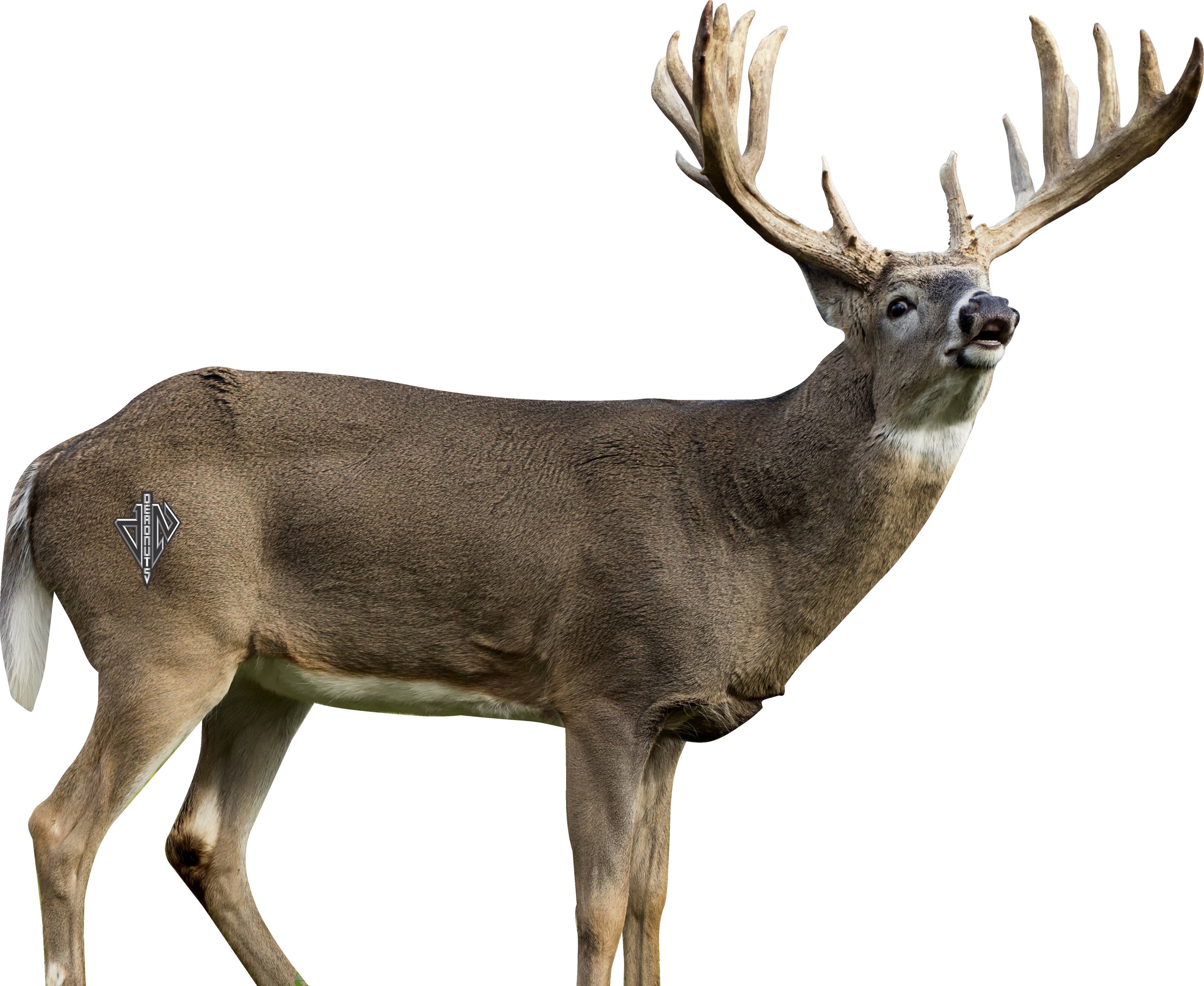 WhiteTails ワイテルズ モノパス BluRay 銀テ Whitetail Buck