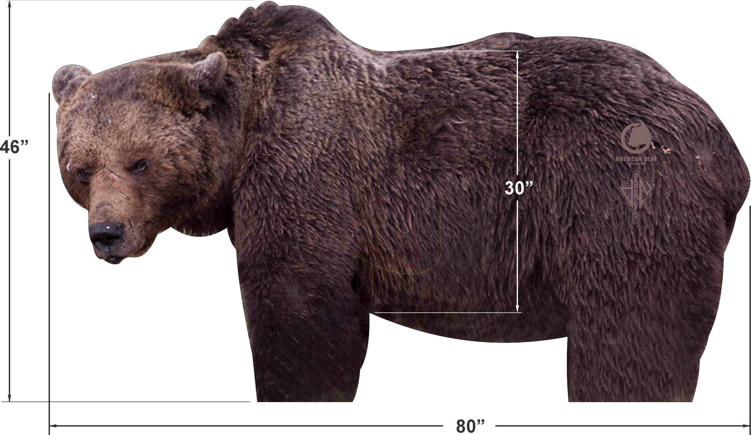 American Bear Foundation Conservation Series 2D Grizzly Bear Target