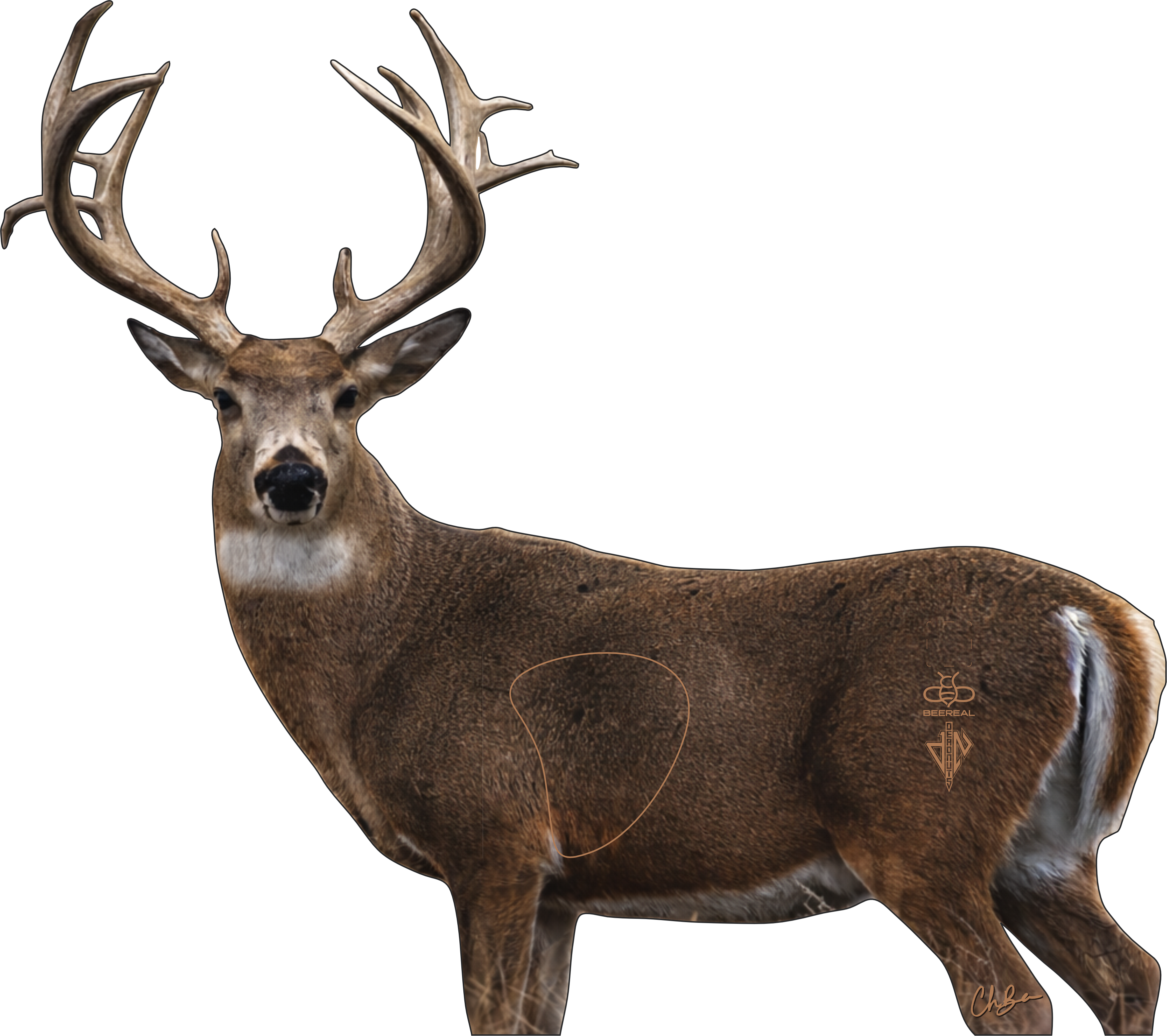 BeeReal Signature Series "Kansas" Whitetail Buck