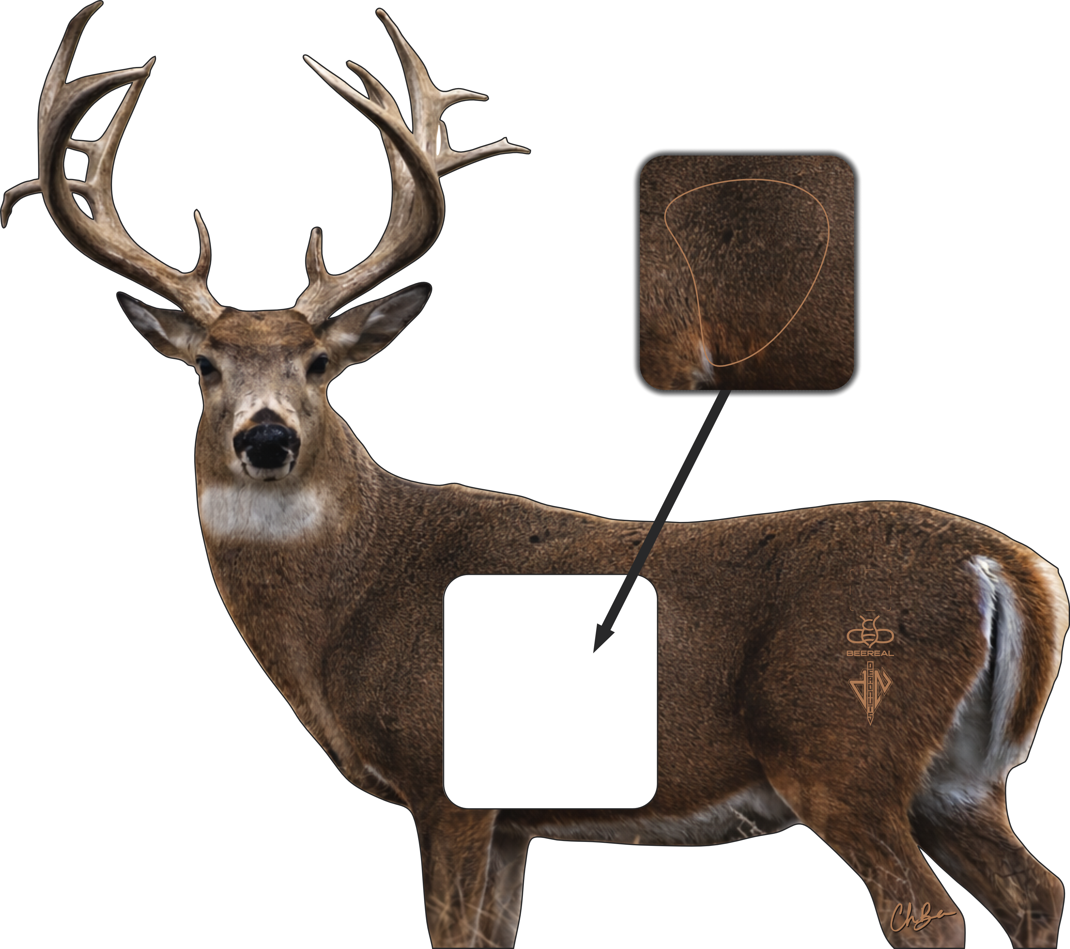 BeeReal Signature Series "Kansas" Whitetail Buck
