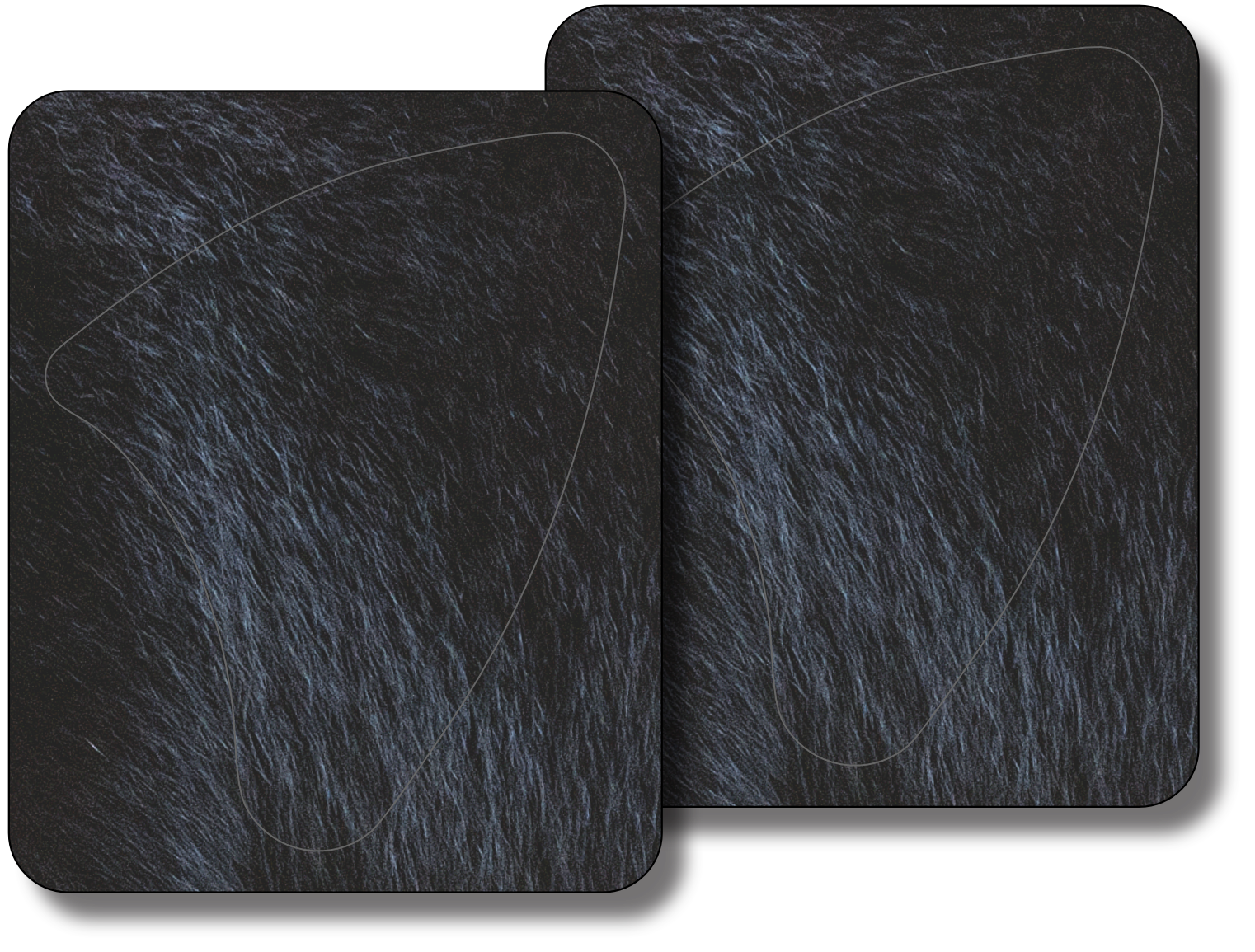 Black Bear Broadside Vital Zone