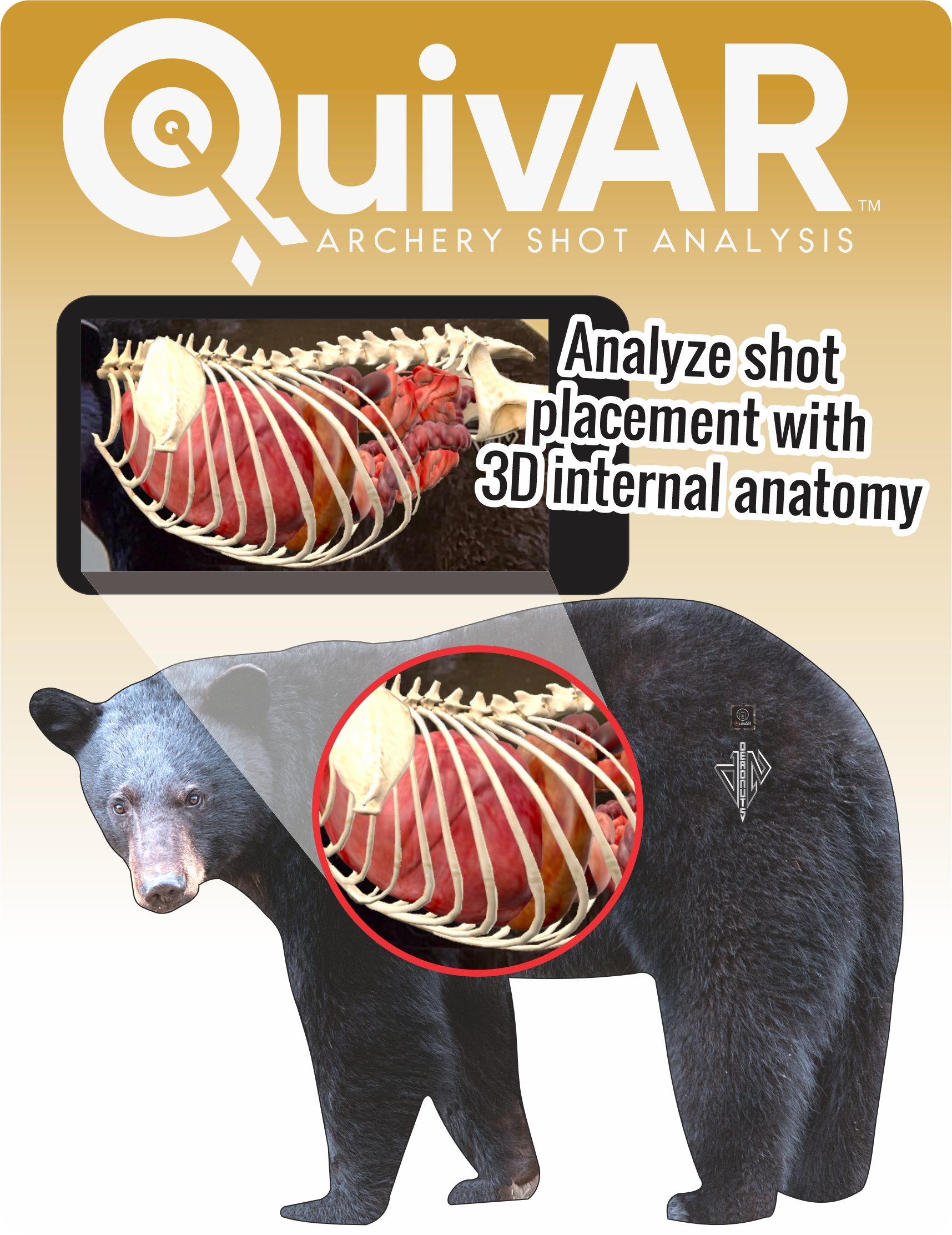 2D Black Bear Broadside Target