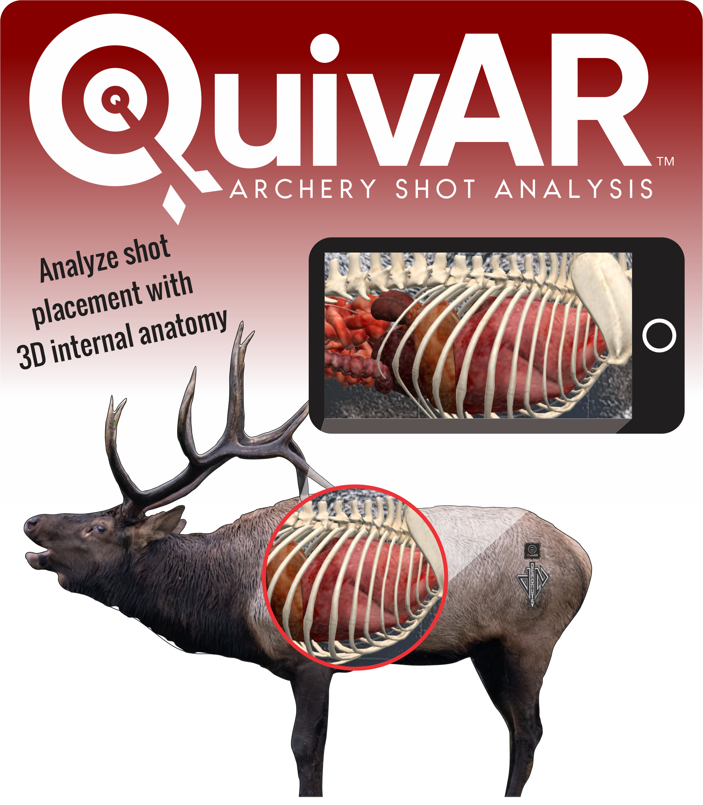 2D Bull Elk Broadside Target
