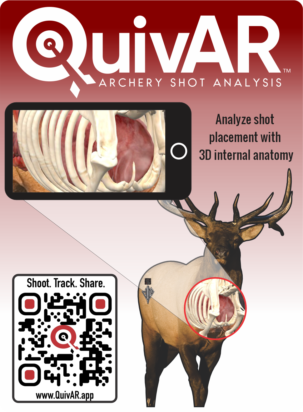 2D Bull Elk Frontal Target