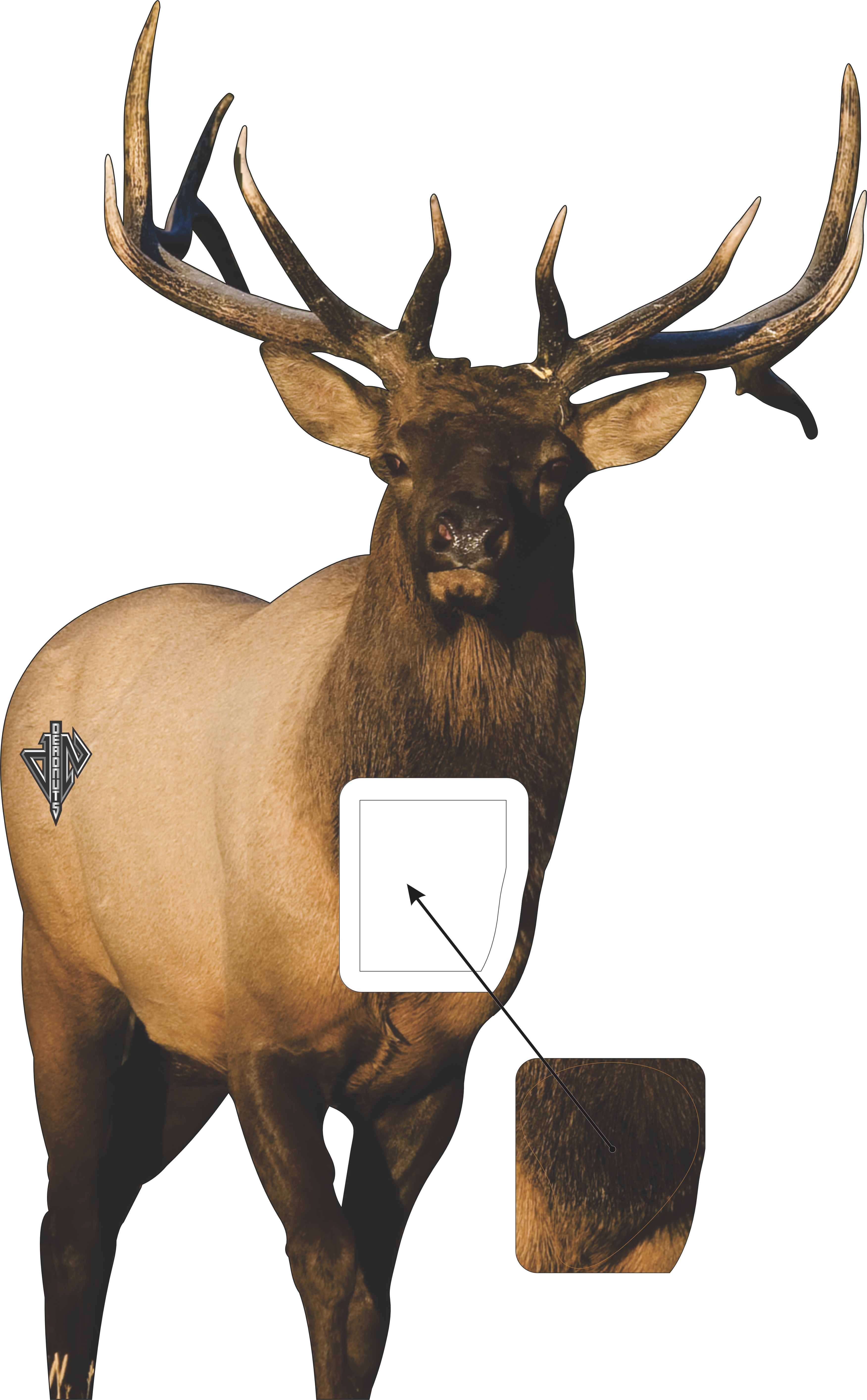 Elk Bundle (Frontal Bull, Broadside Bull)
