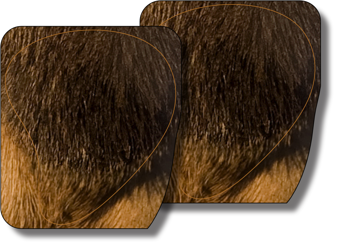 Bull Elk Frontal Vital Zone