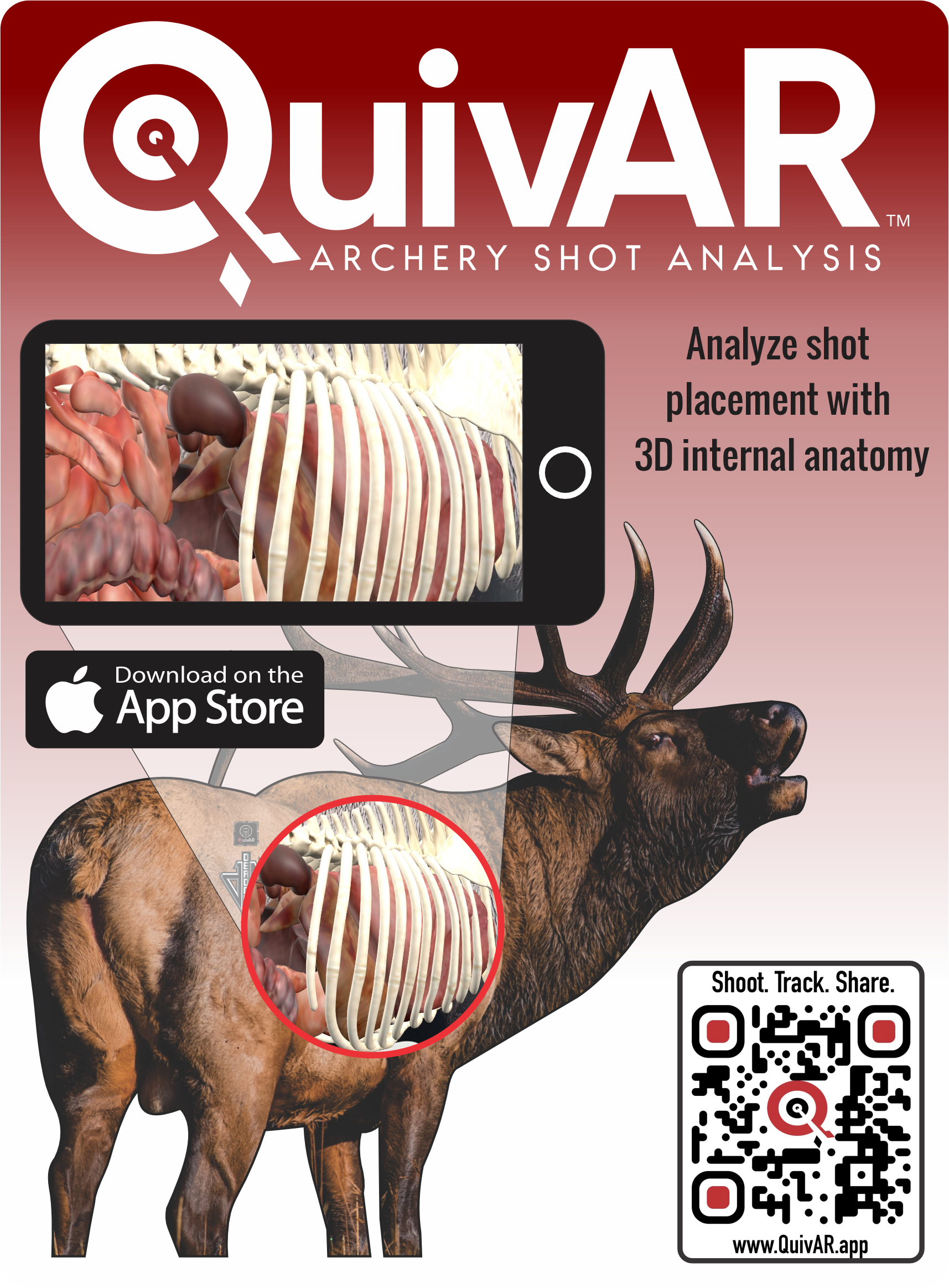 2D Bull Elk Quartering Away Target