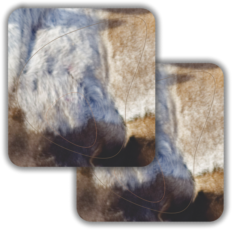 2D Caribou Broadside Vital Zones