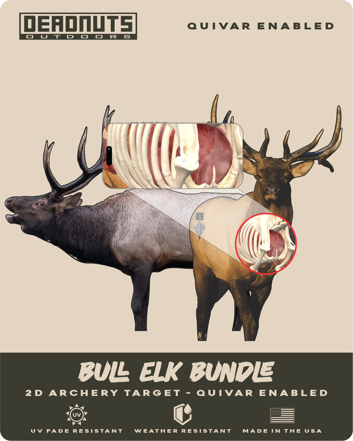 Elk Bundle (Frontal Bull, Broadside Bull)