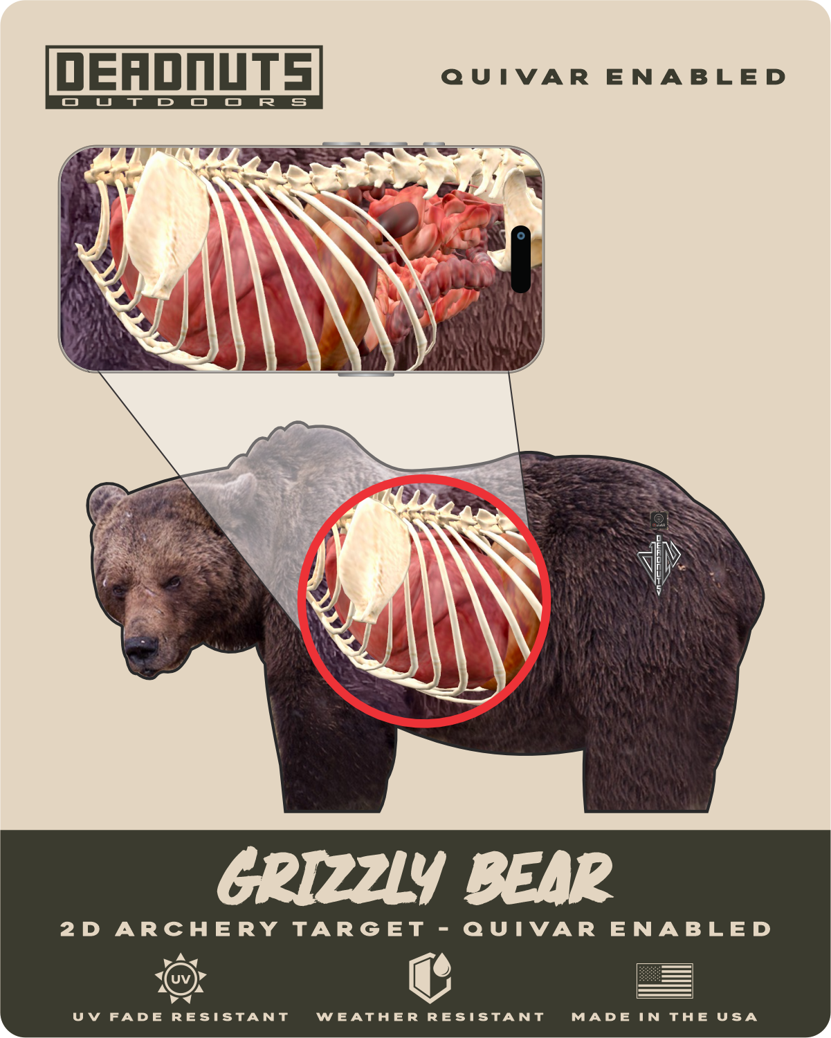 2D Grizzly Bear Broadside