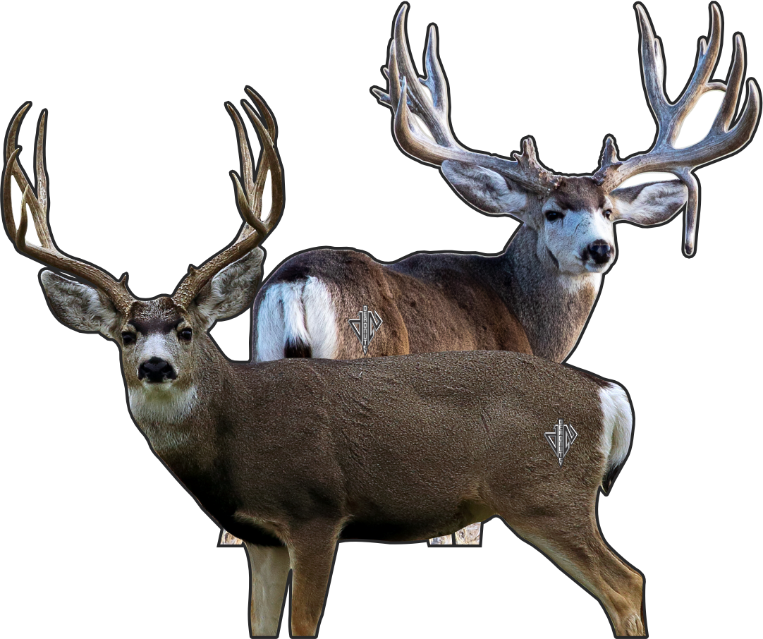 Mule Deer Bundle (Broadside Mule Deer, Quartering Away Mule Deer)