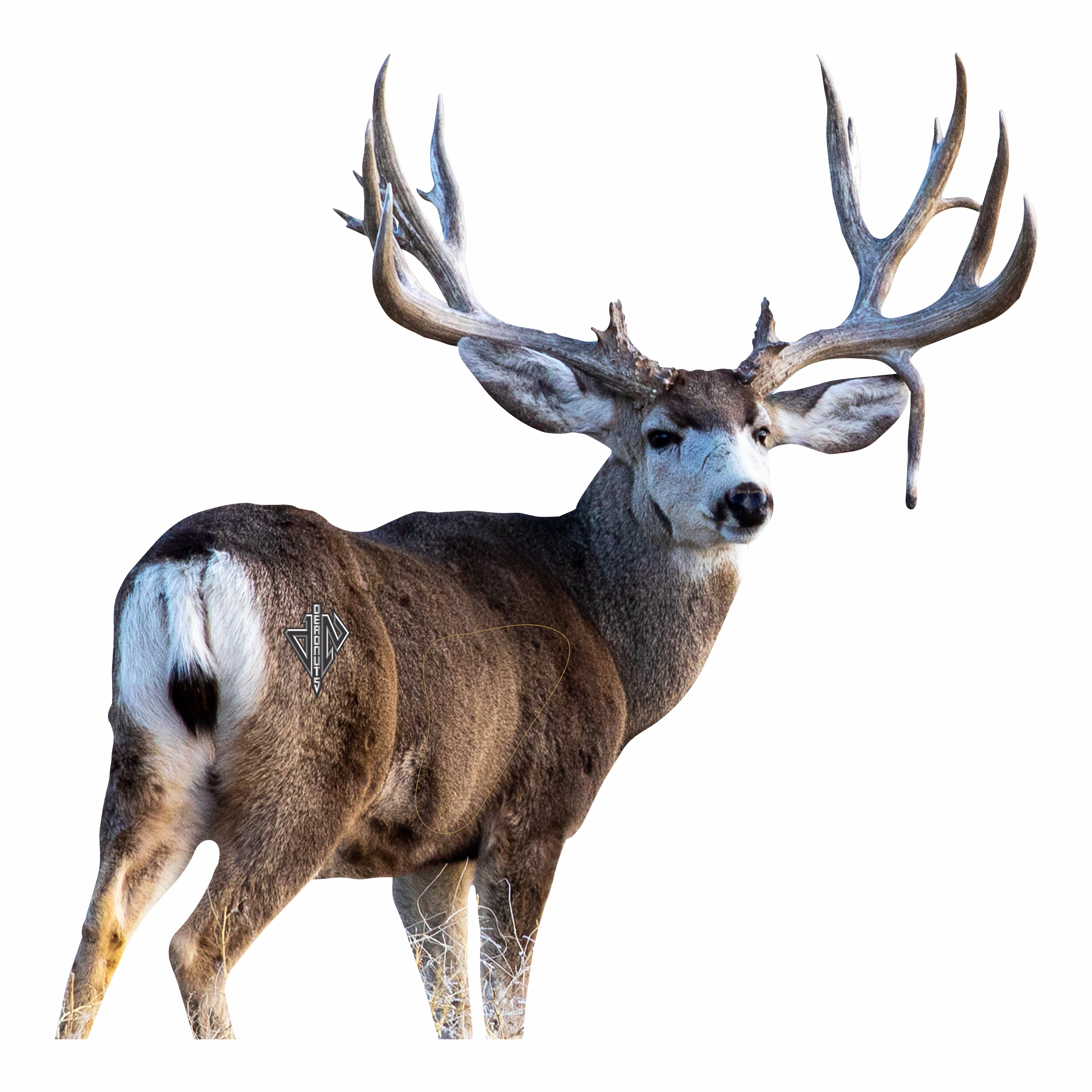 2D Mule Deer Quartering Away Target