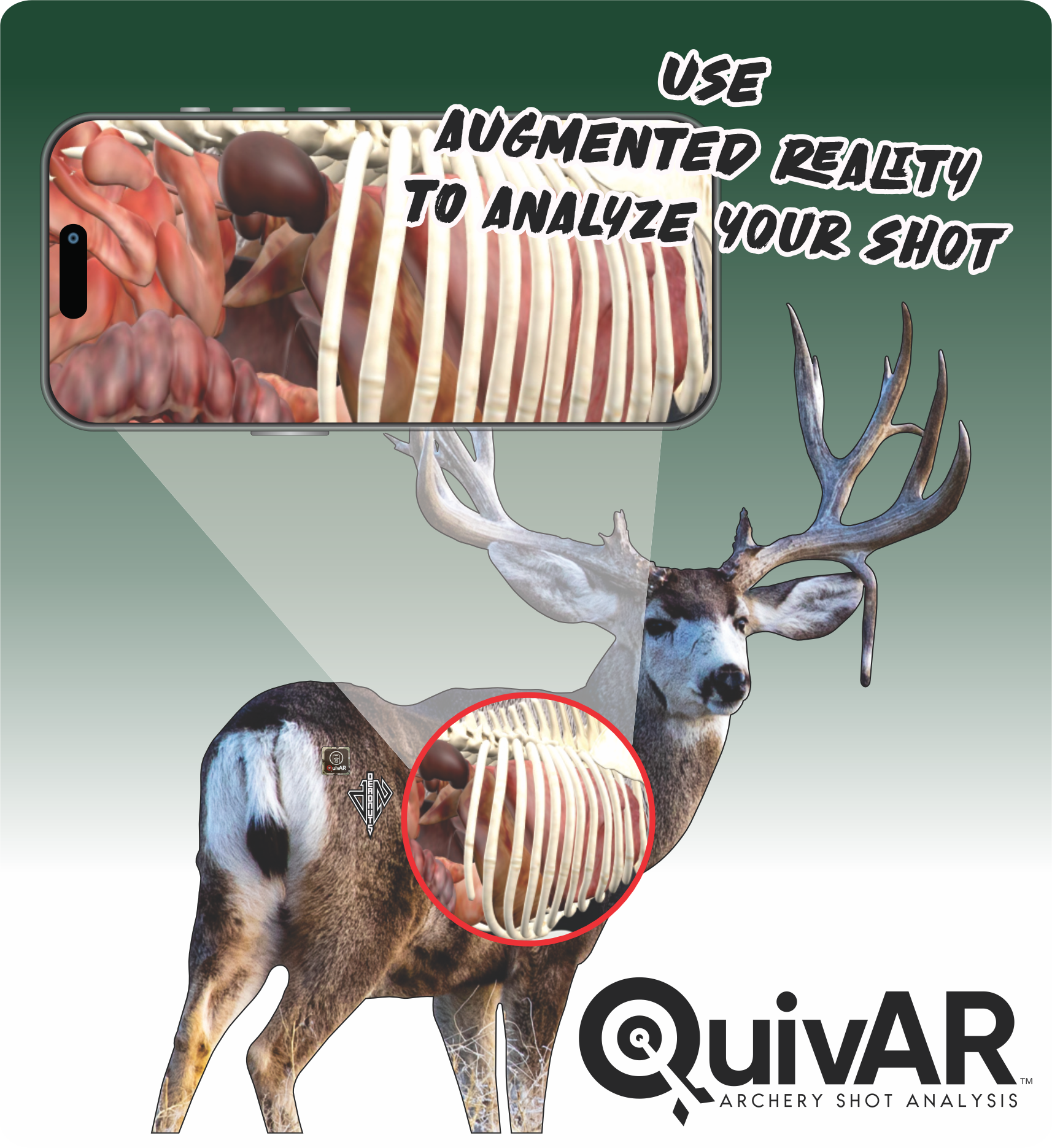 2D Mule Deer Quartering Away Target