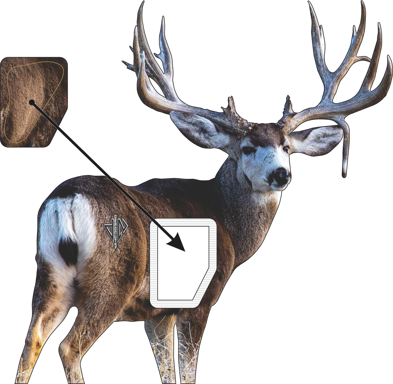 Mule Deer Bundle (Broadside Mule Deer, Quartering Away Mule Deer)