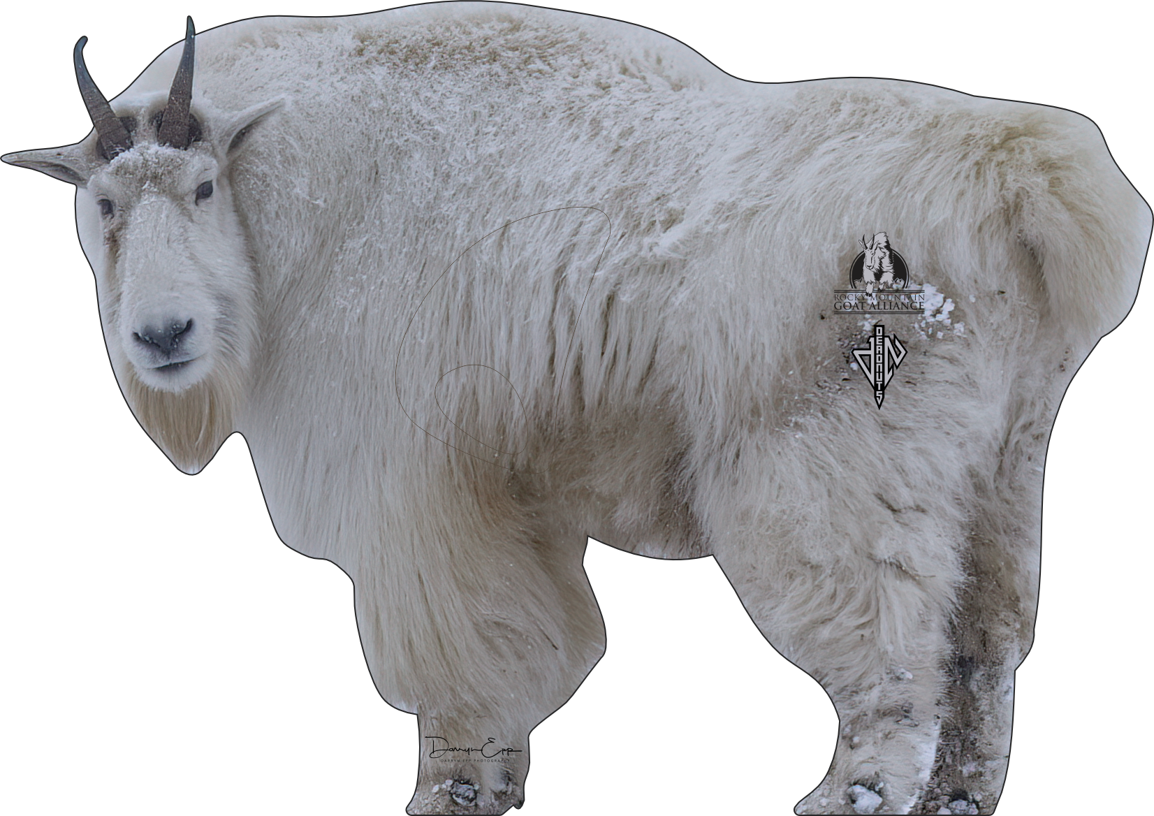 Rocky Mountain Goat Alliance Conservation Series 2D Target