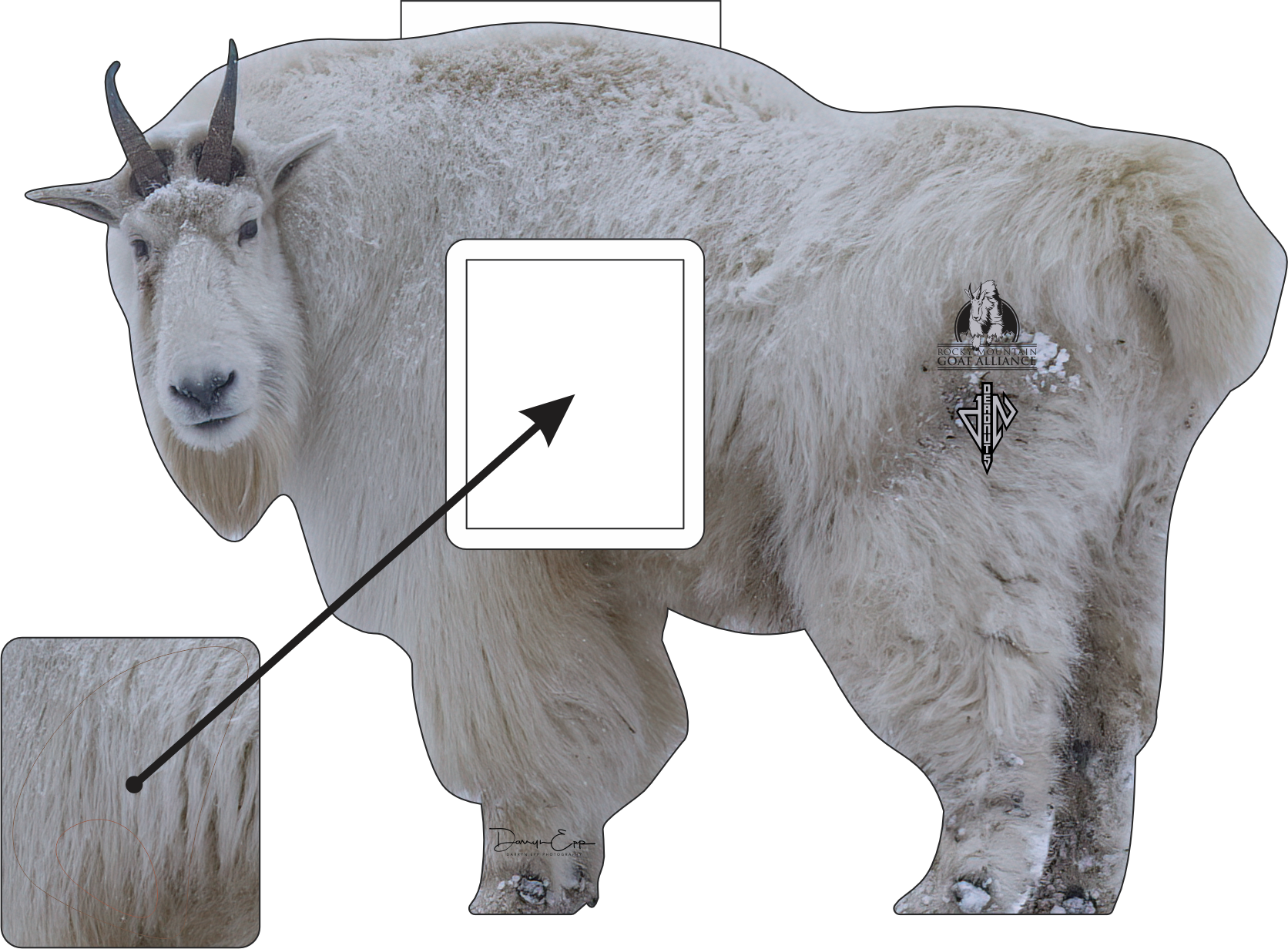 Rocky Mountain Goat Alliance Conservation Series 2D Target