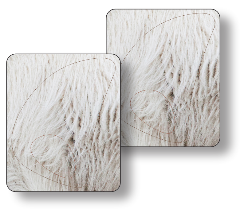 "Billy" Mountain Goat Vital Zones