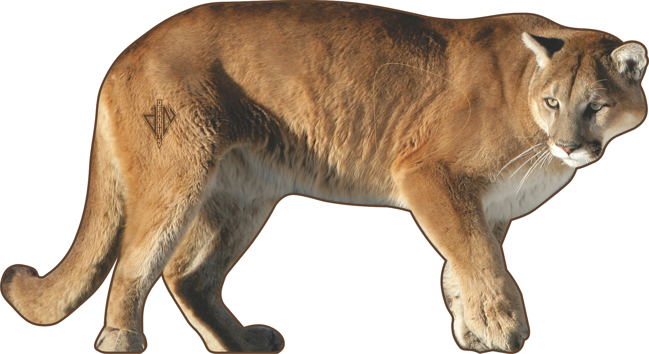 2D Mountain Lion Broadside Target