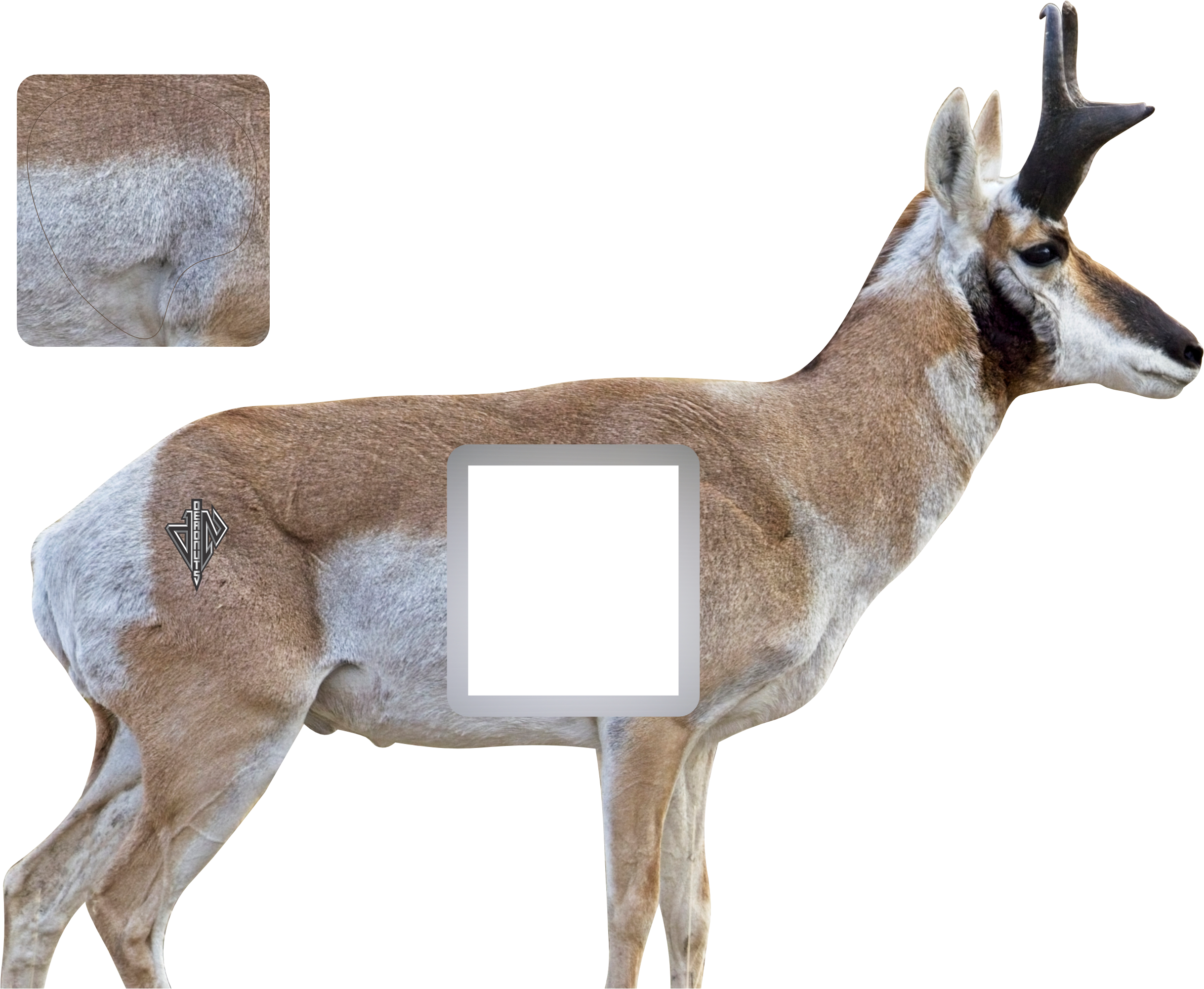 2D Broadside Pronghorn Buck