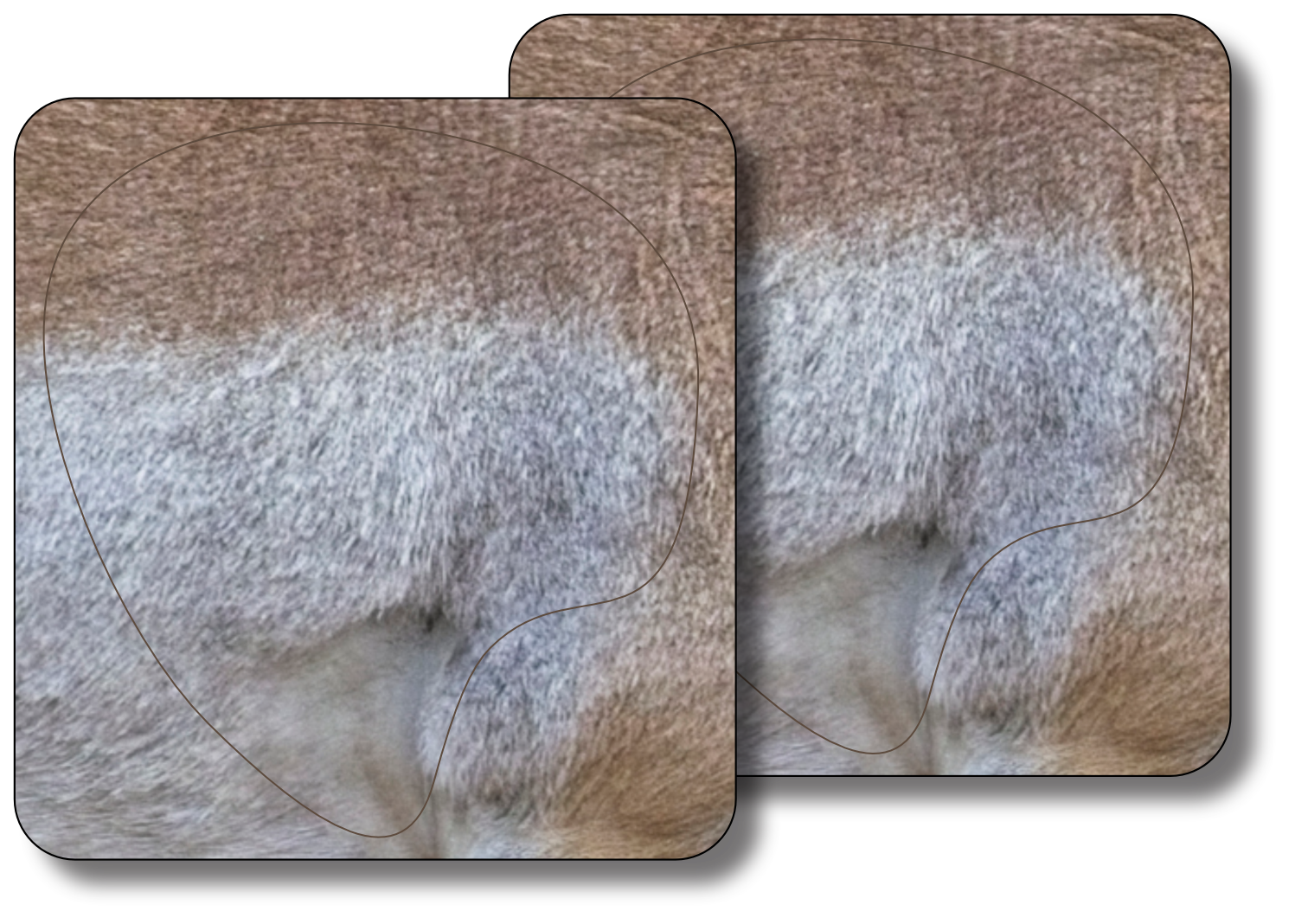 Broadside Pronghorn Vital Zone - 2 Pack