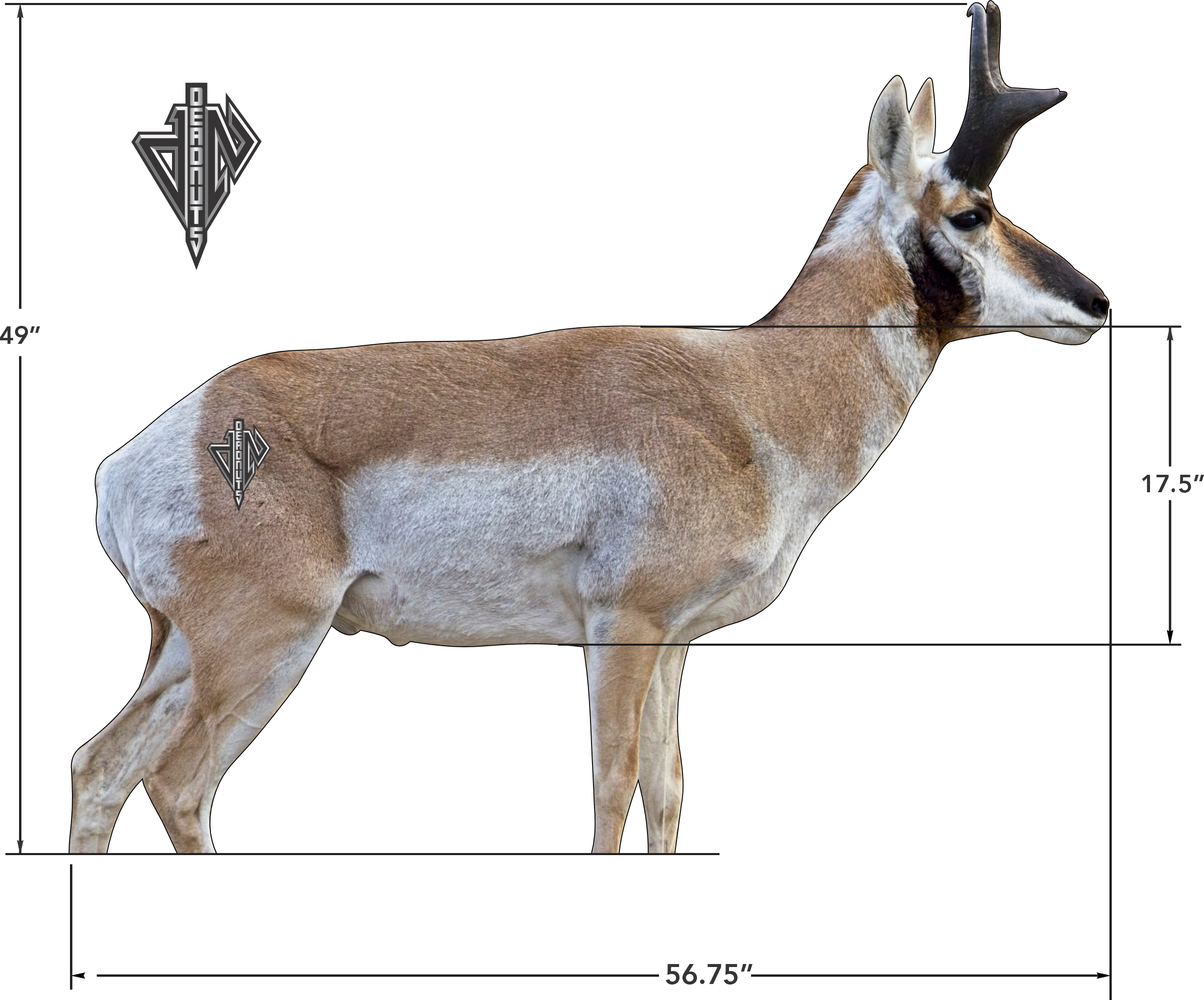 2D Broadside Pronghorn Buck