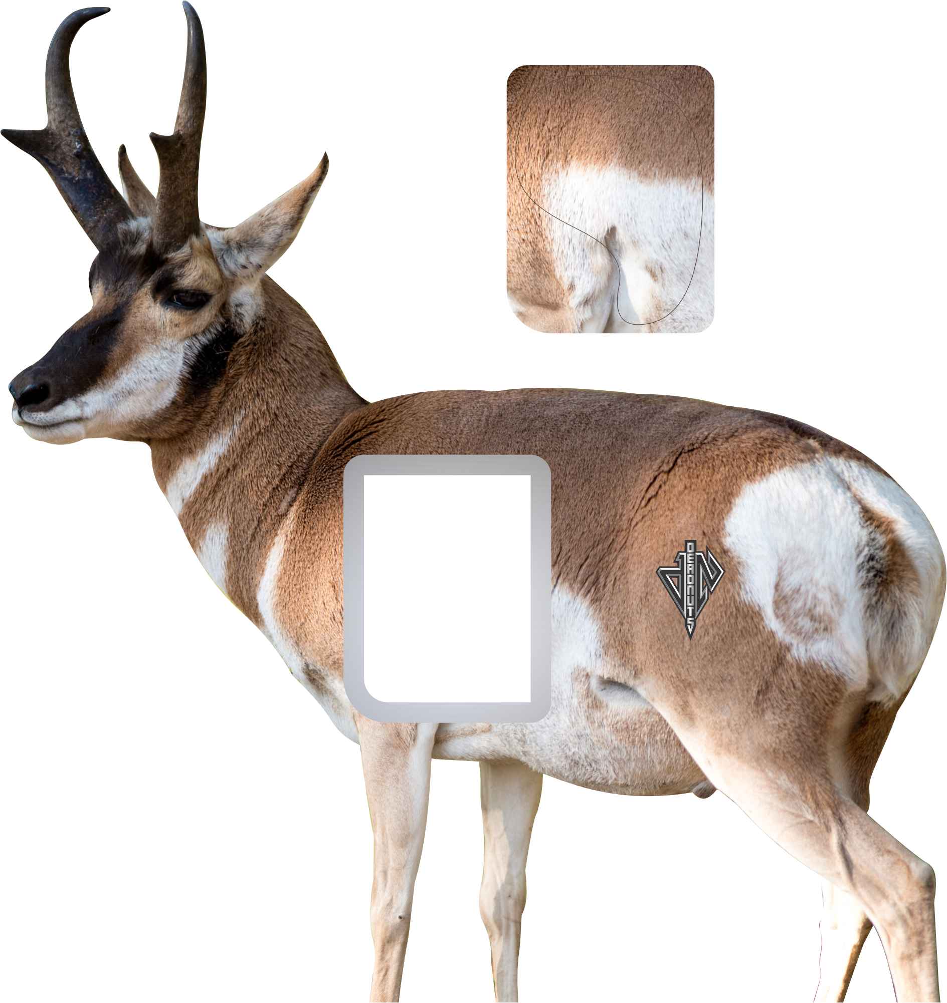 2D Quartering Away Pronghorn Buck