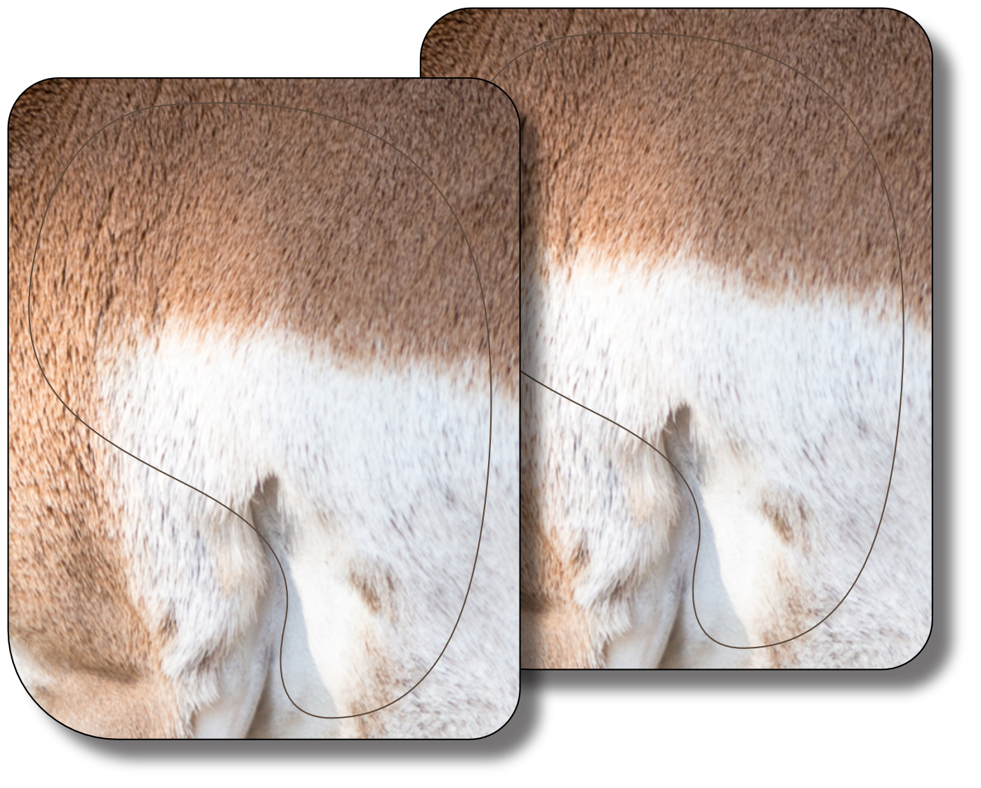 Western Bundle (Elk, Mule Deer, Antelope)