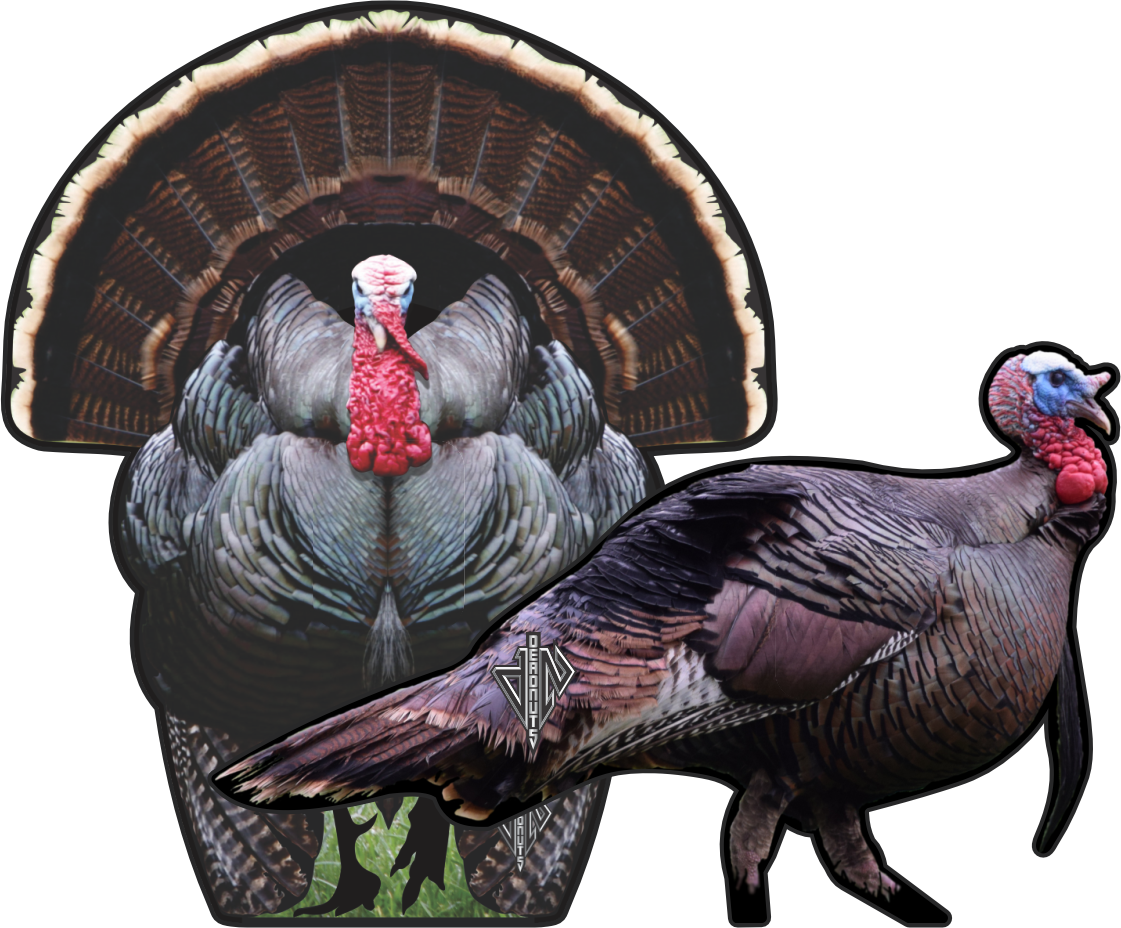 2D Tom Turkey Frontal & Broadside Targets Combo Pack