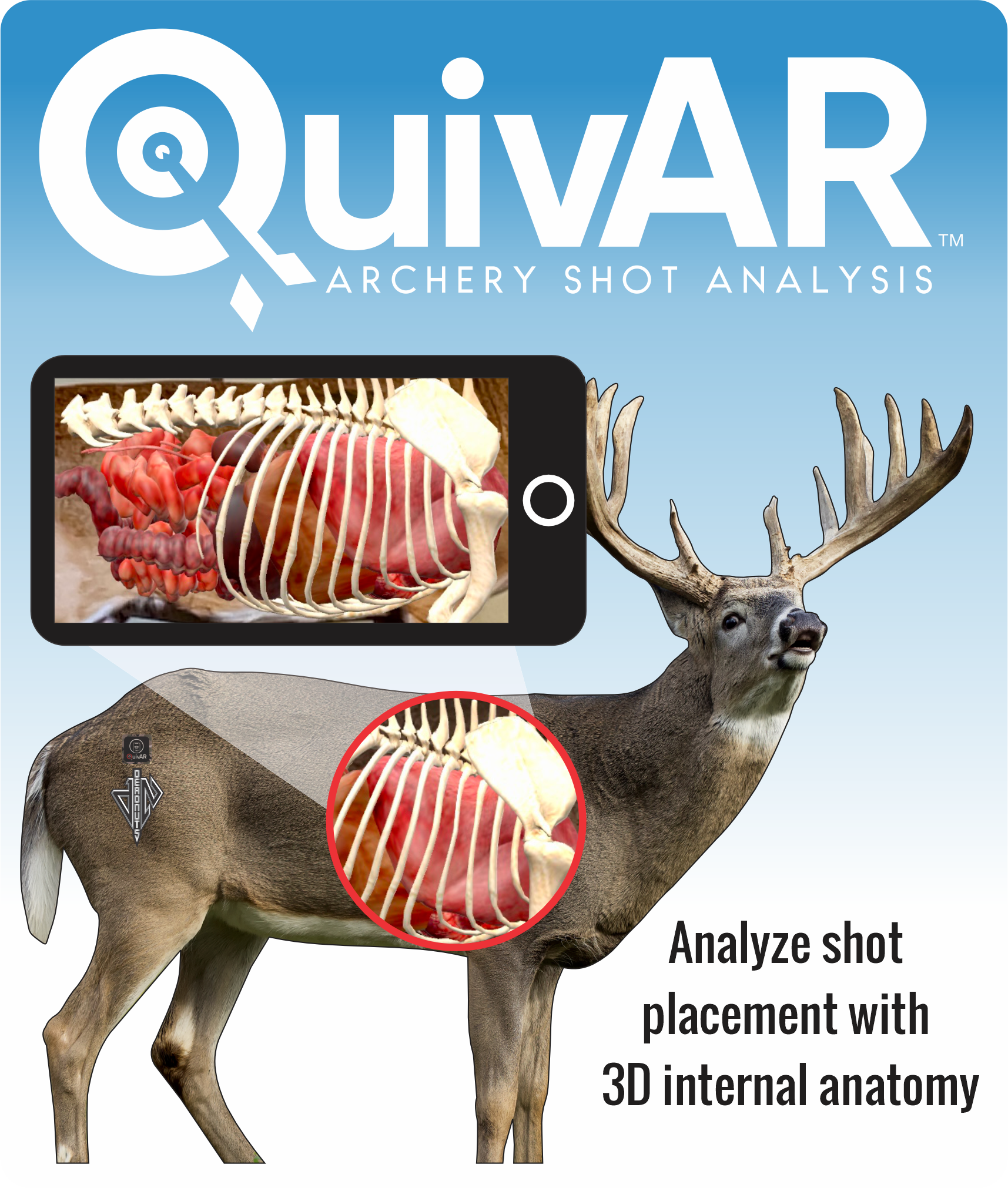 2D Whitetail Broadside Target