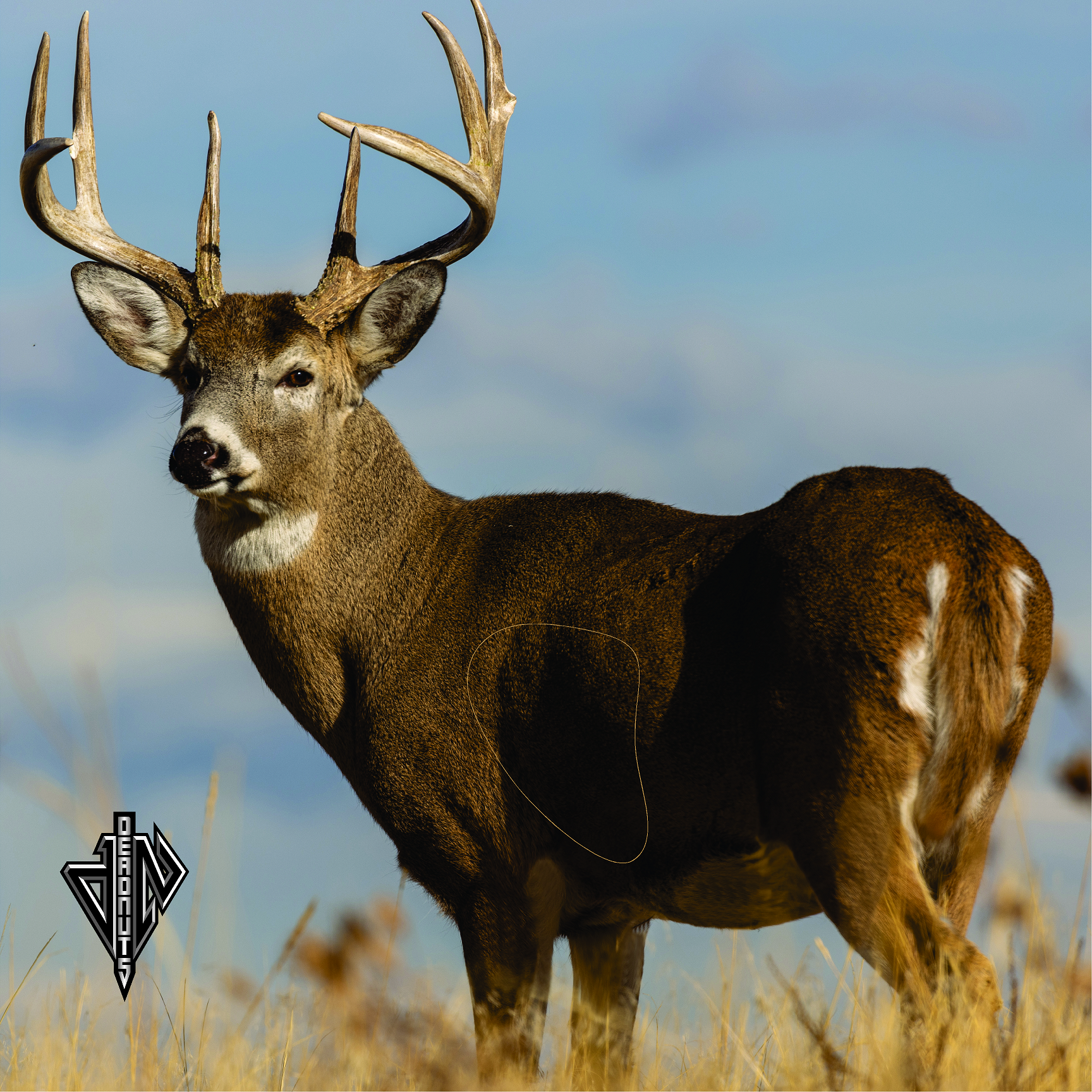 Whitetail Quartering Away Mini Banner Target