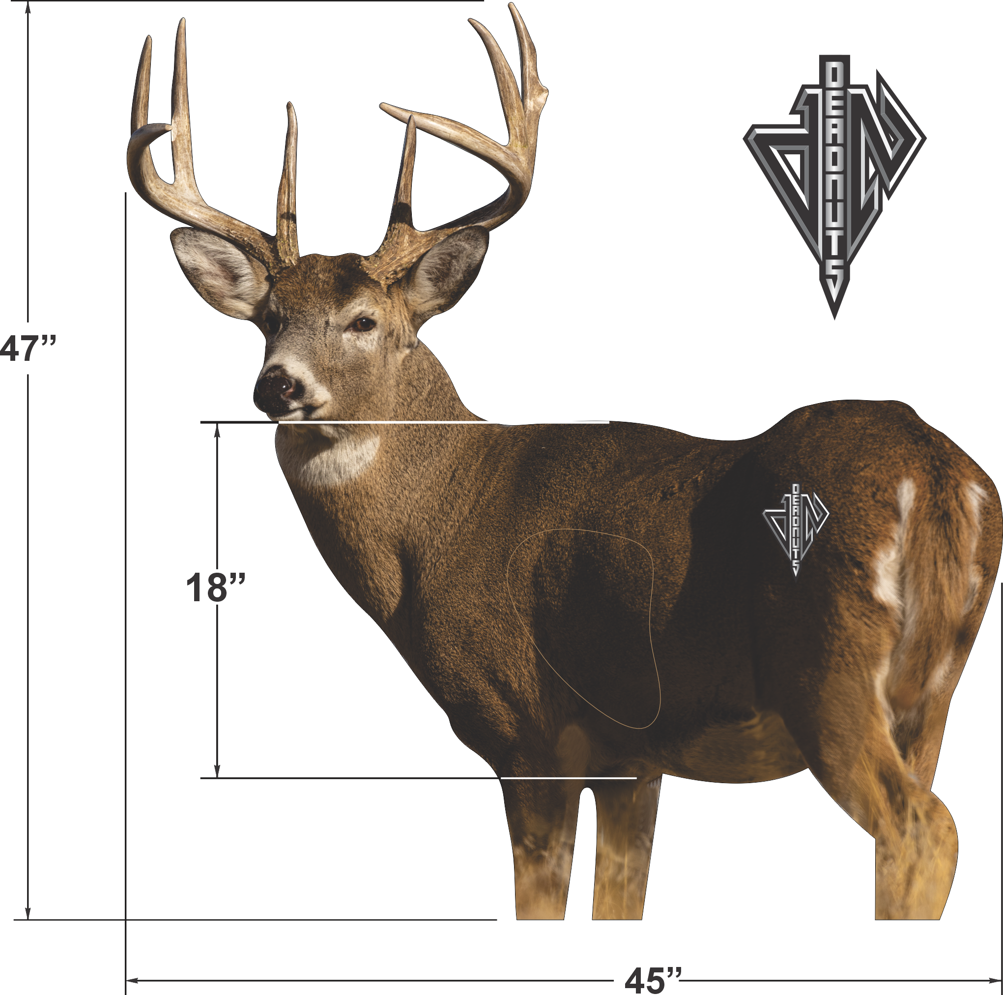 2D Whitetail "Willy" Quartering Away Target