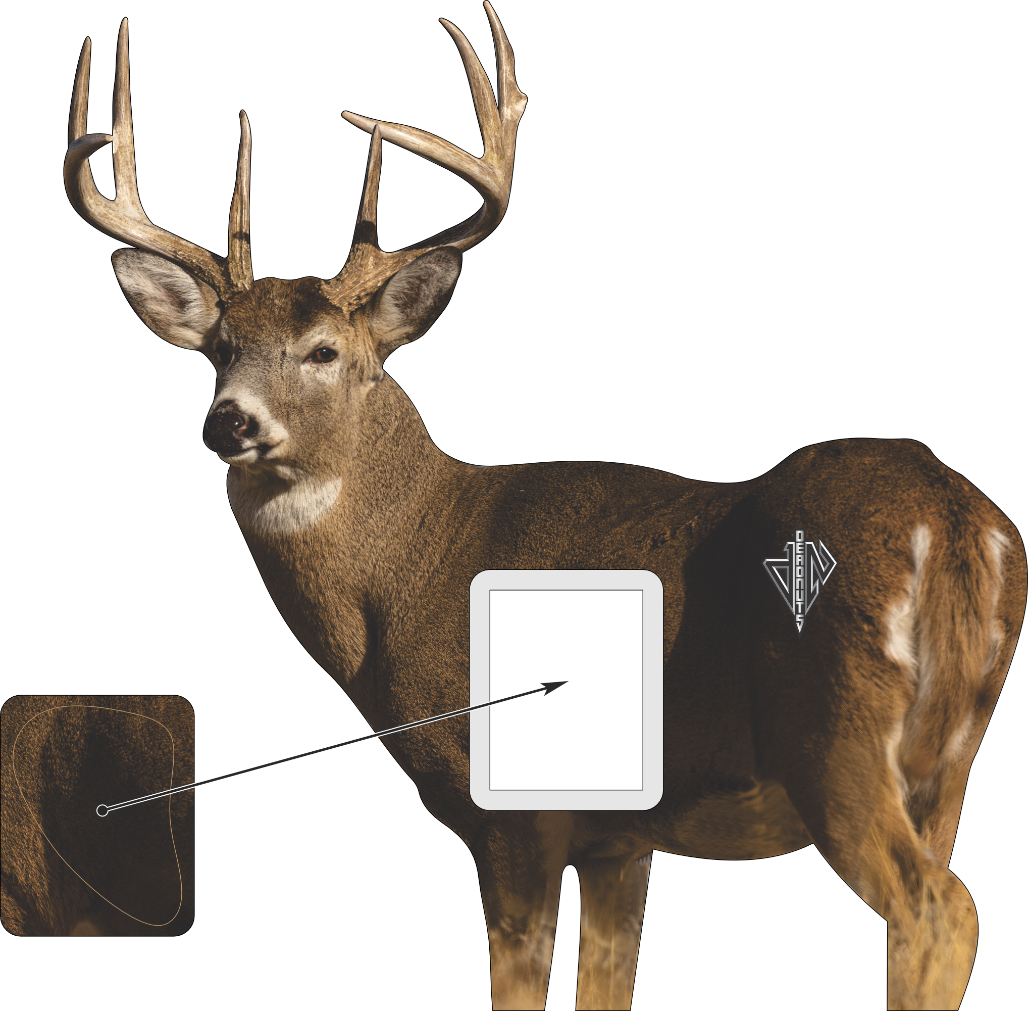 2D Whitetail "Willy" Quartering Away Target