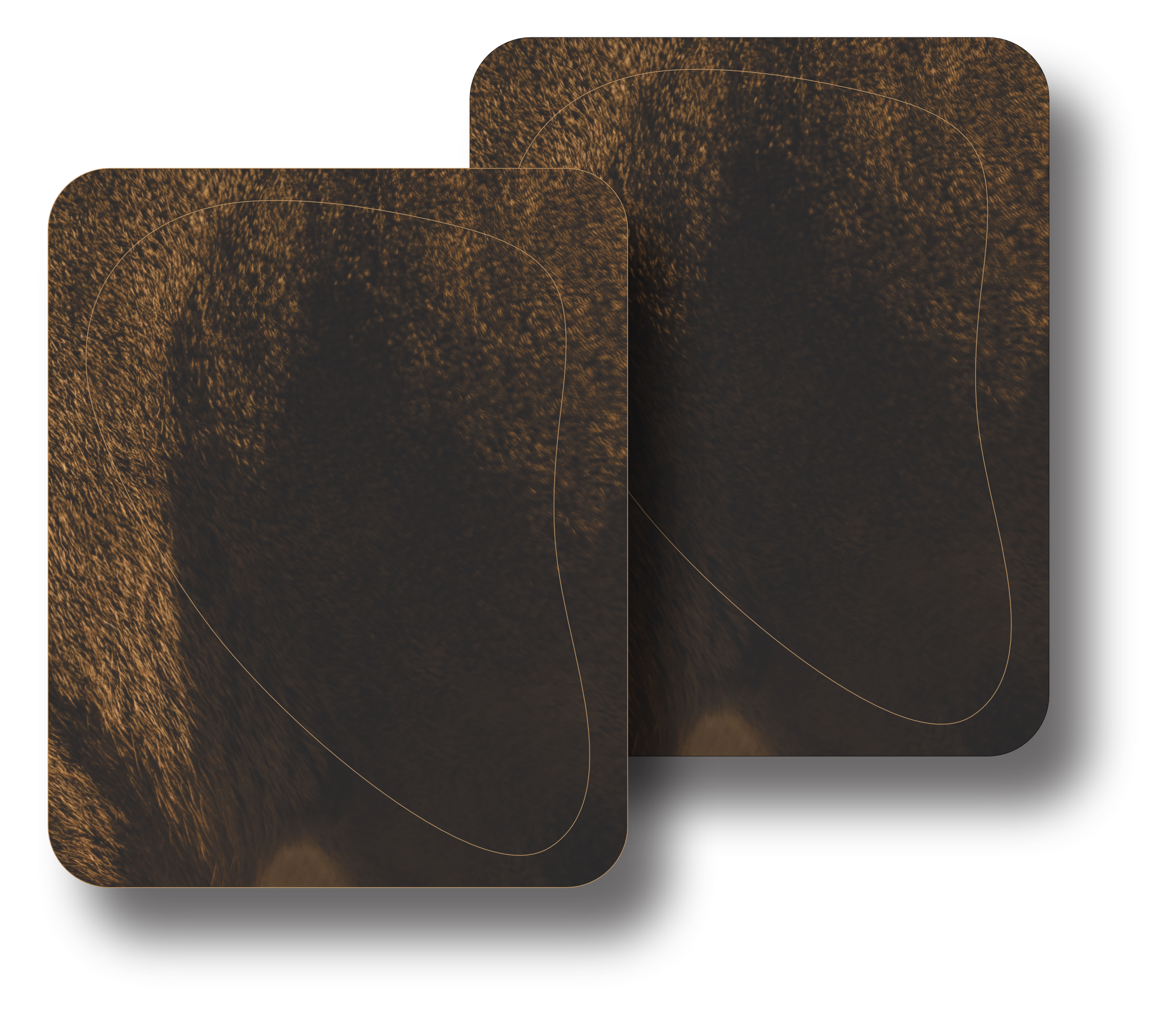 Whitetail "Willy" Quartering Away Vital Zones