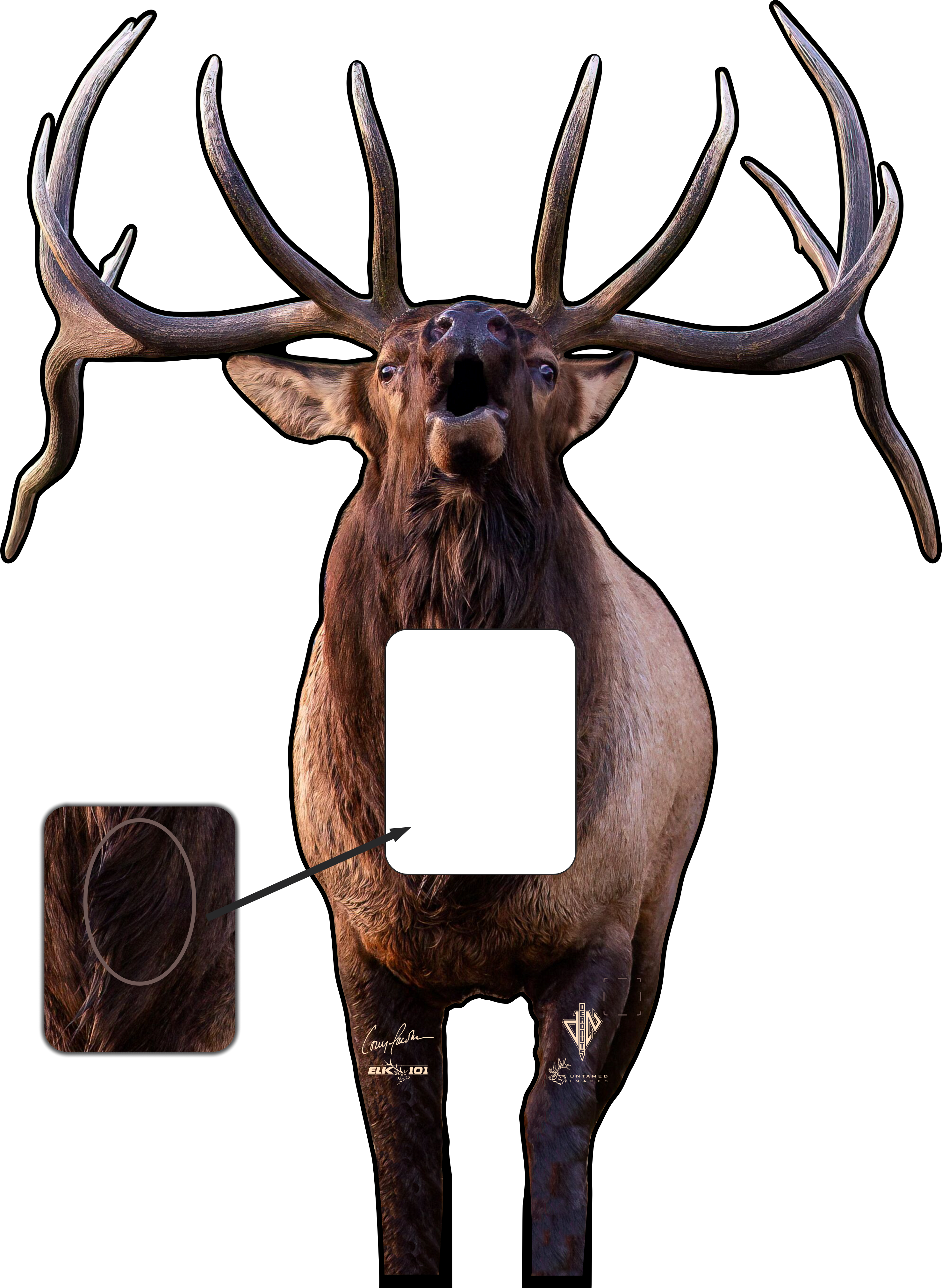 Elk 101 Signature Series Bull Elk
