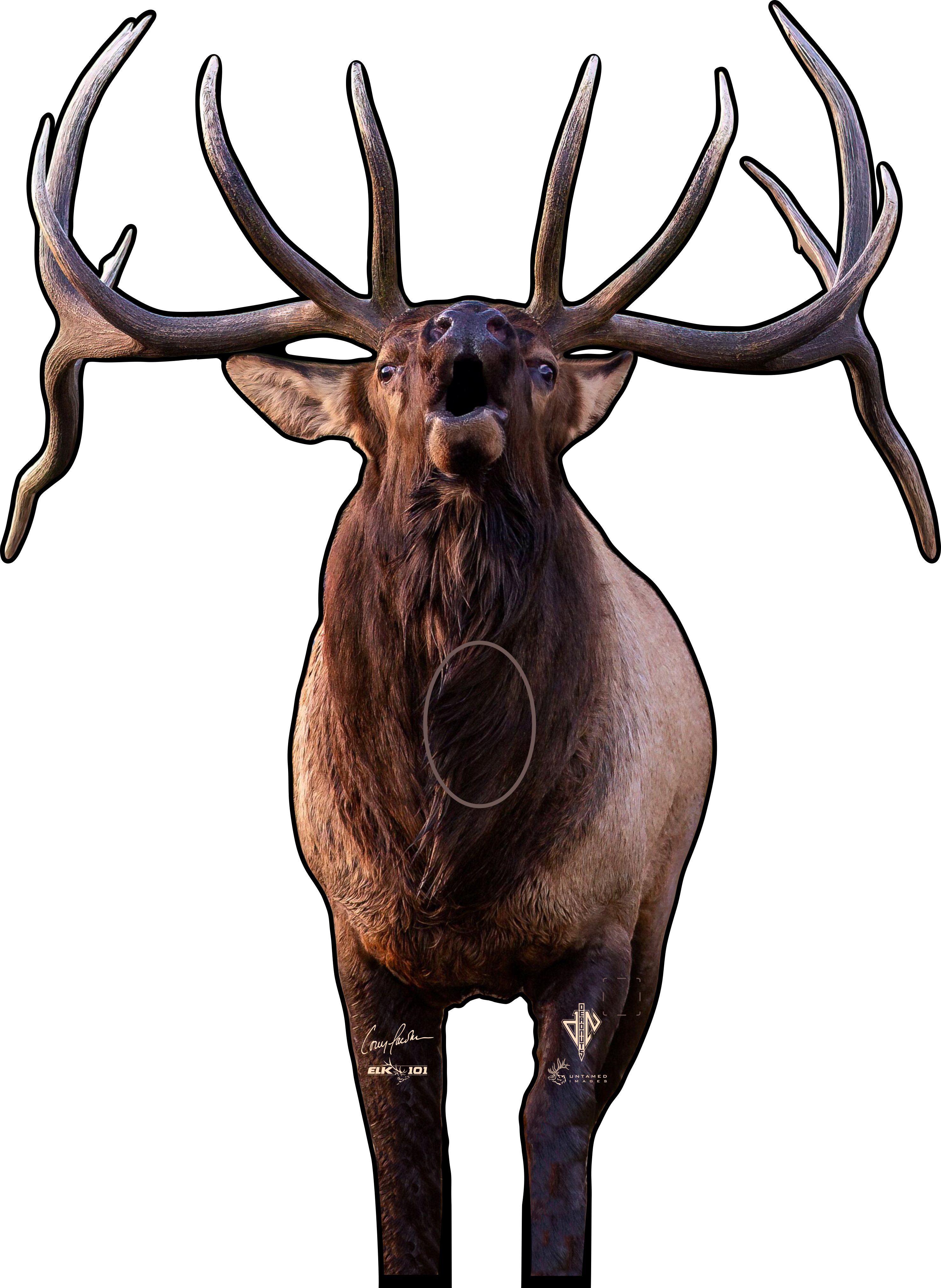 Elk 101 Signature Series Bull Elk