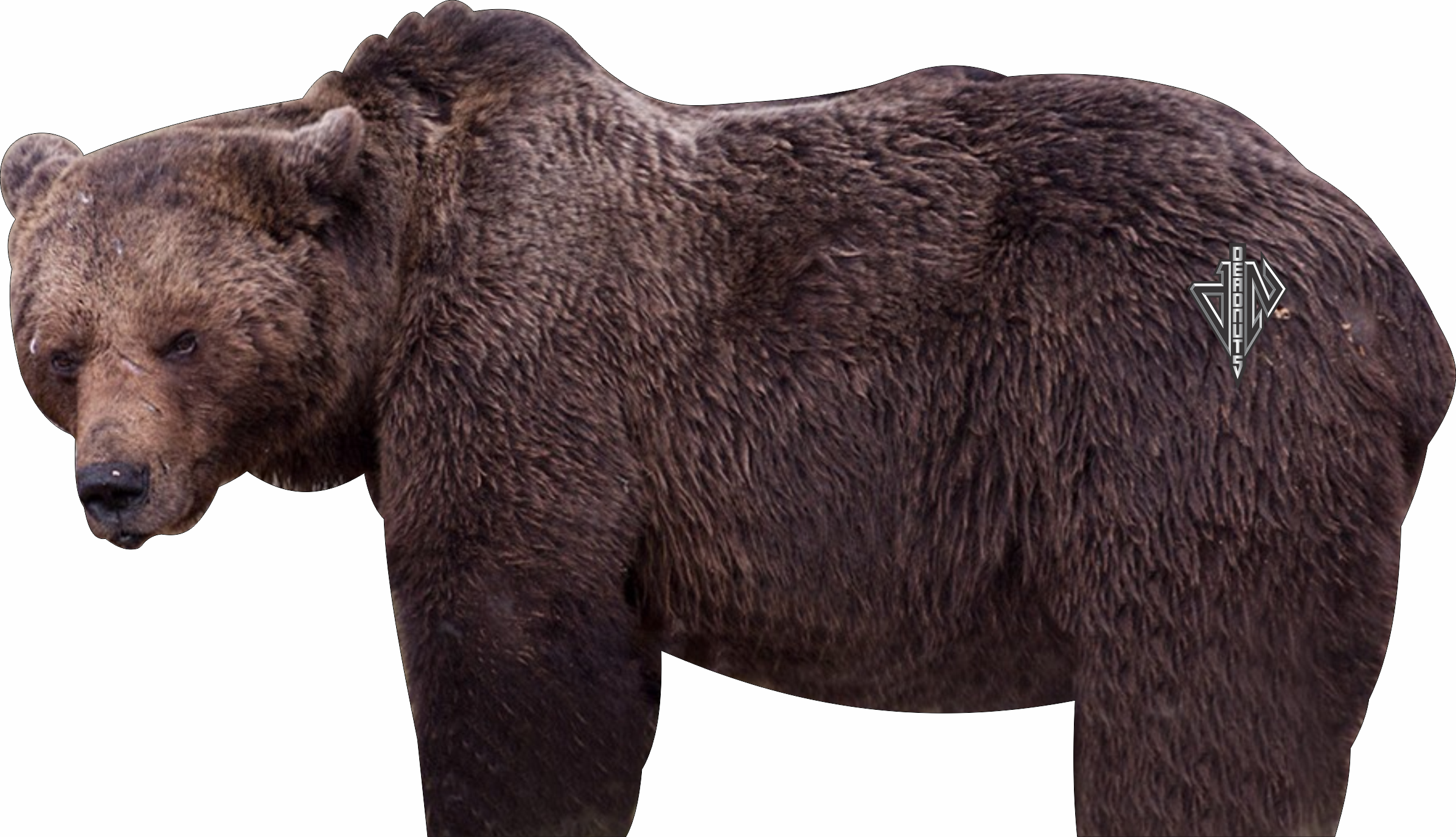 2D Grizzly Bear Broadside
