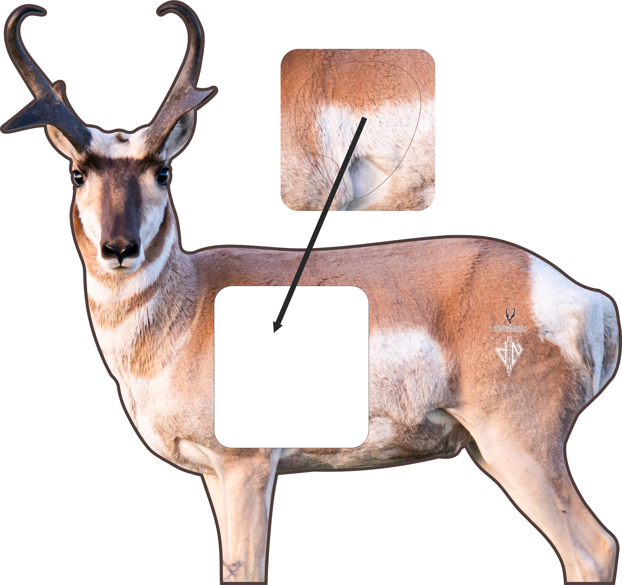 North American Pronghorn Foundation 2D Broadside Pronghorn Conservation Series Target