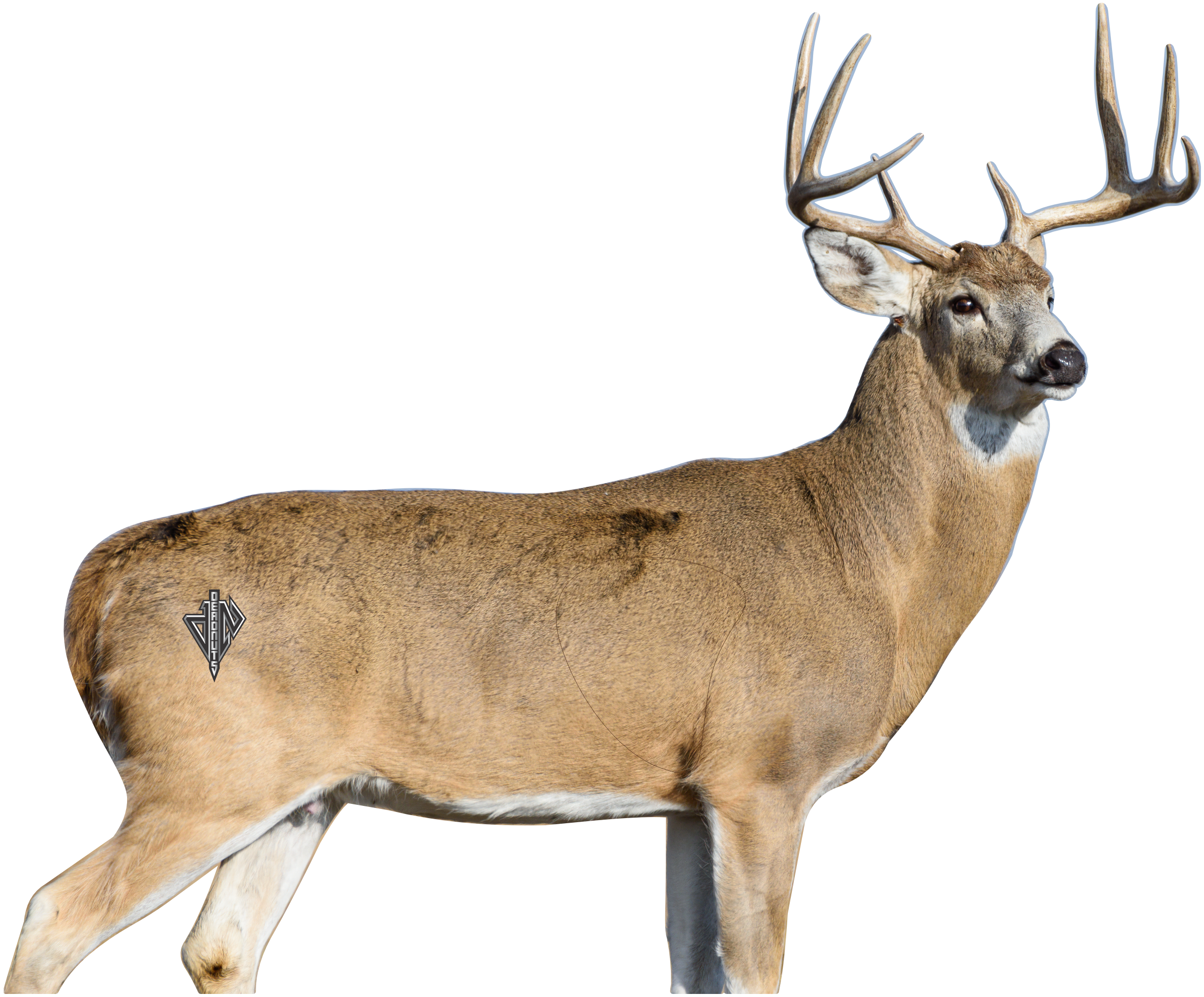 2D Whitetail "Willy" Broadside Target