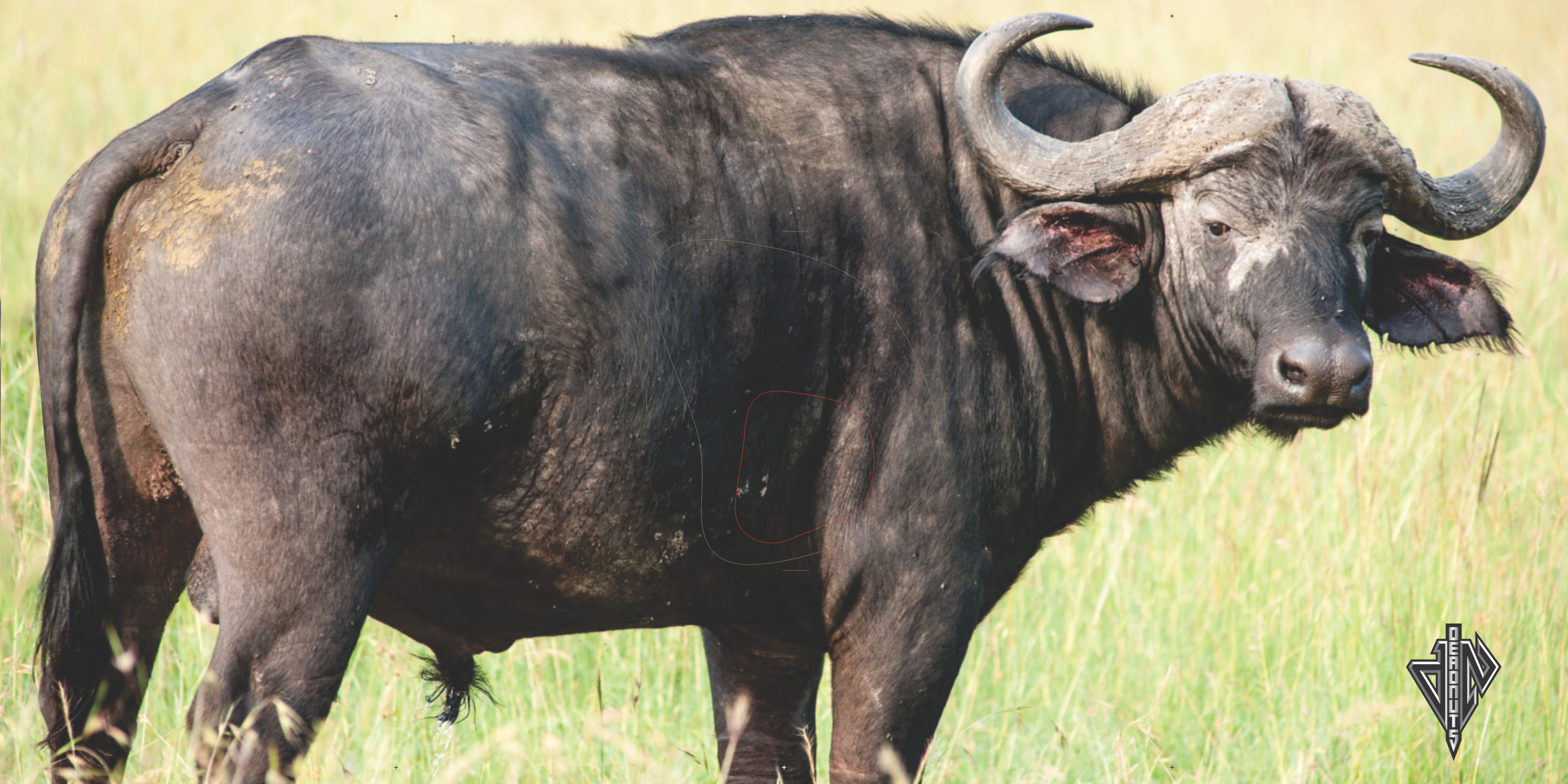 Cape Buffalo Broadside Banner