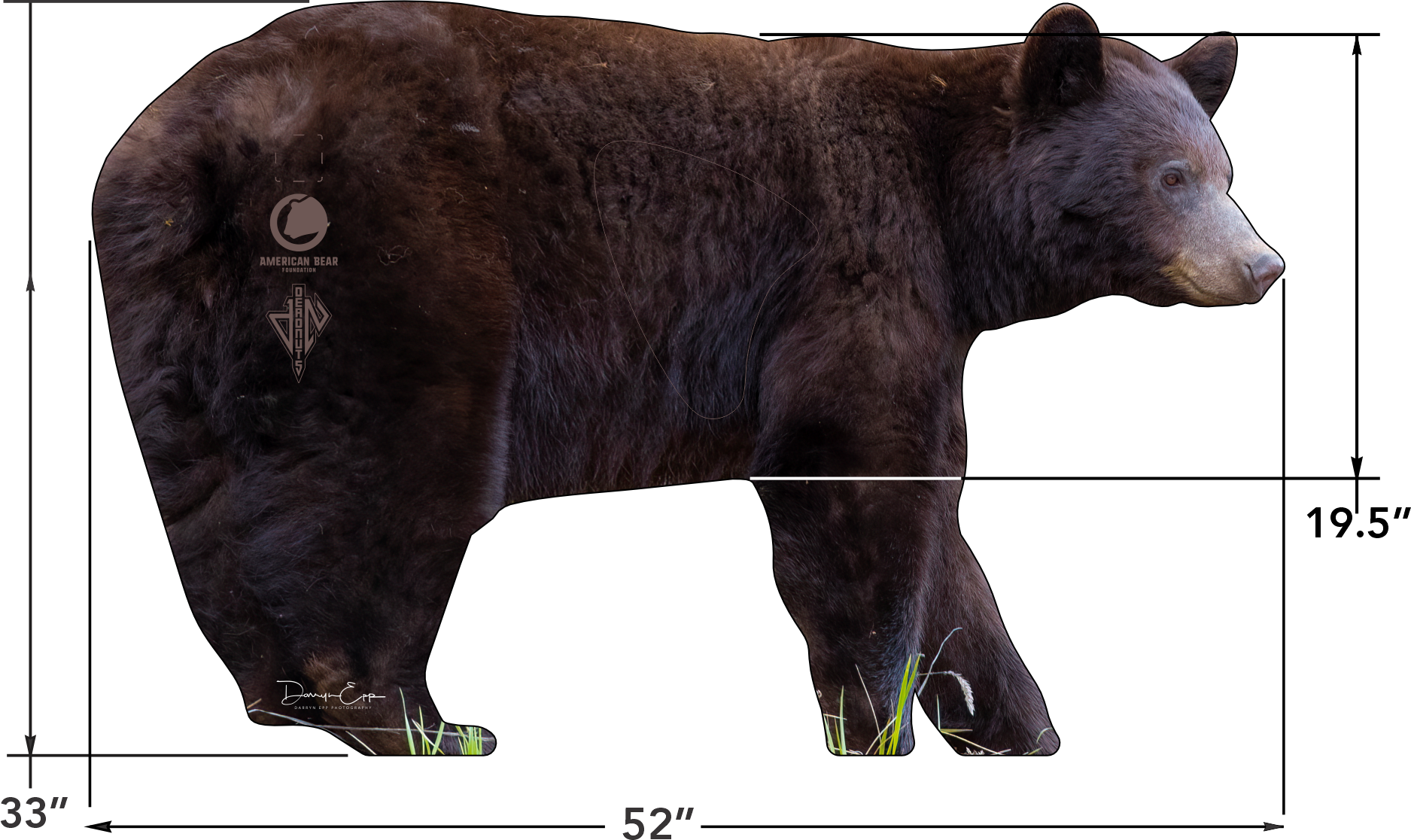 American Bear Foundation Conservation Series 2D Chocolate Phase Bear Target