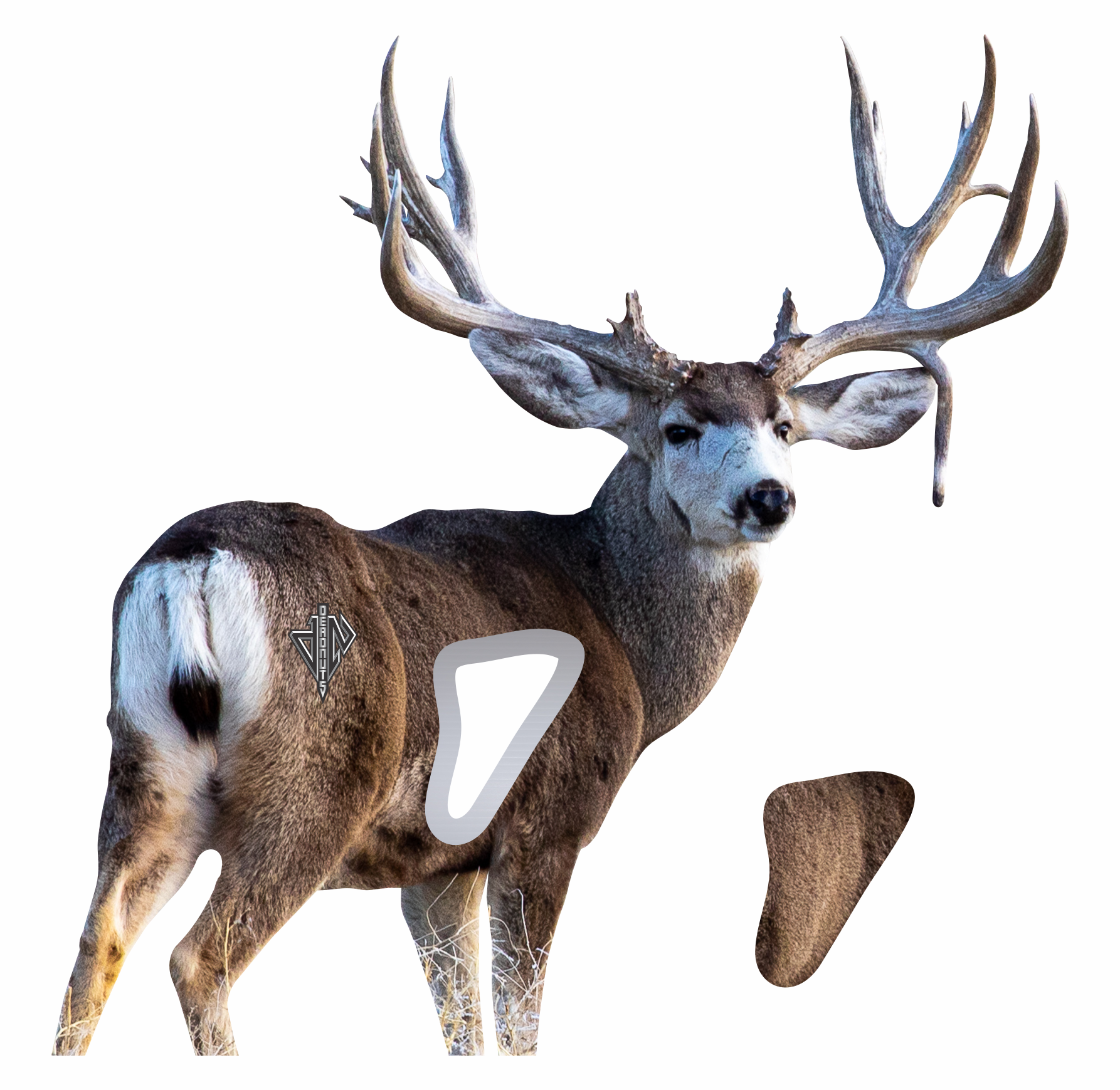 Mule Deer Bundle (Broadside Mule Deer, Quartering Away Mule Deer)