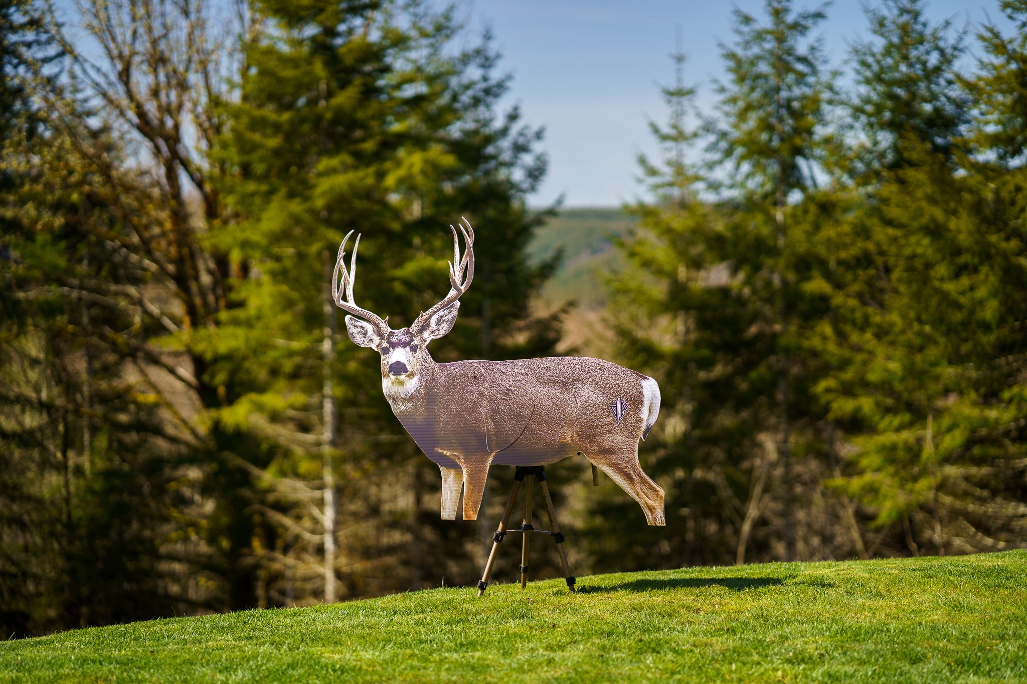 2D Mule Deer Broadside Target