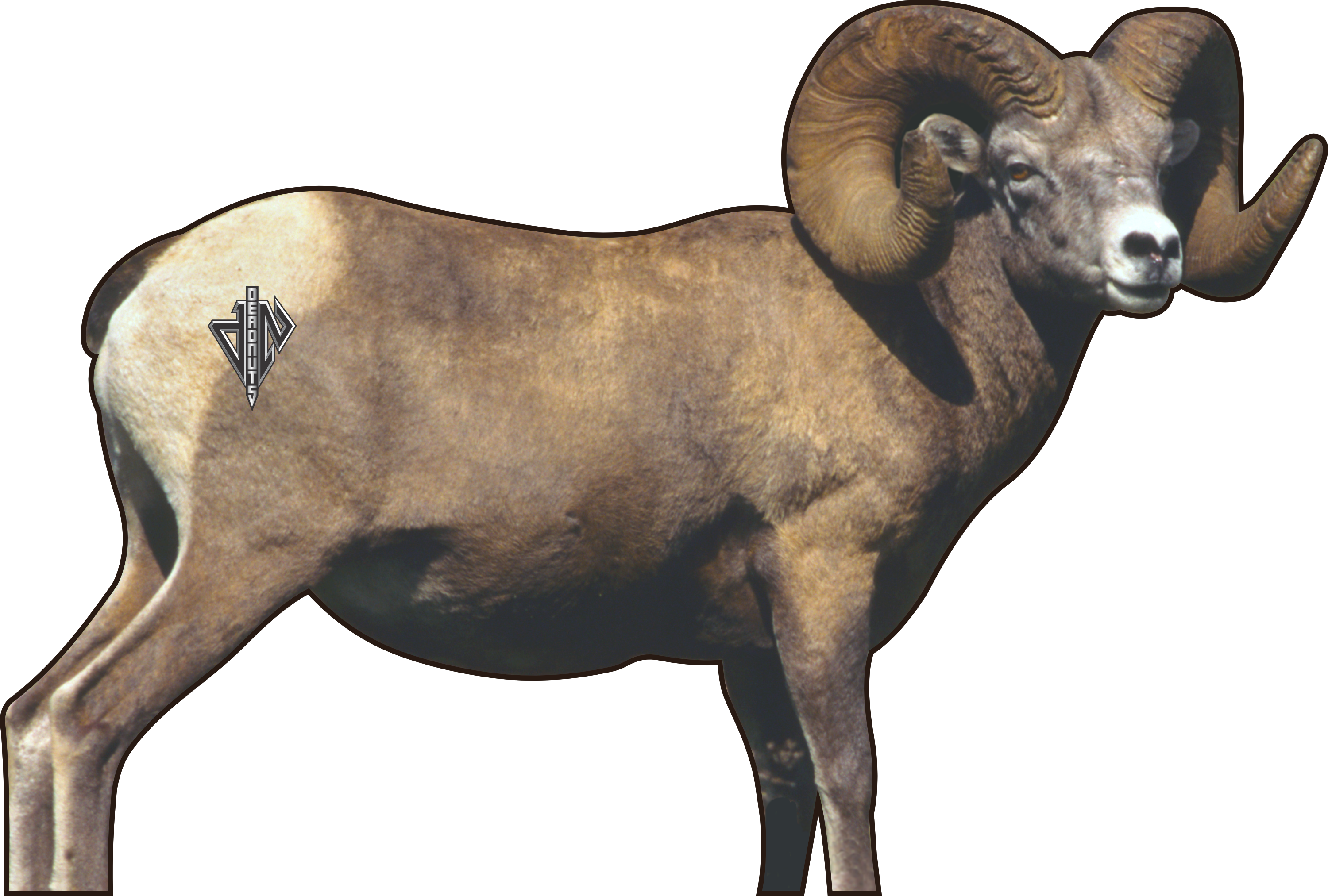 2D Bighorn Broadside Target