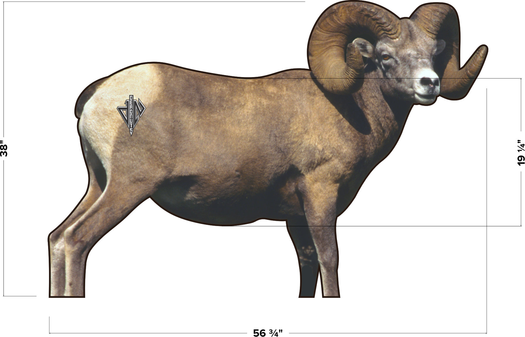 2D Bighorn Broadside Target