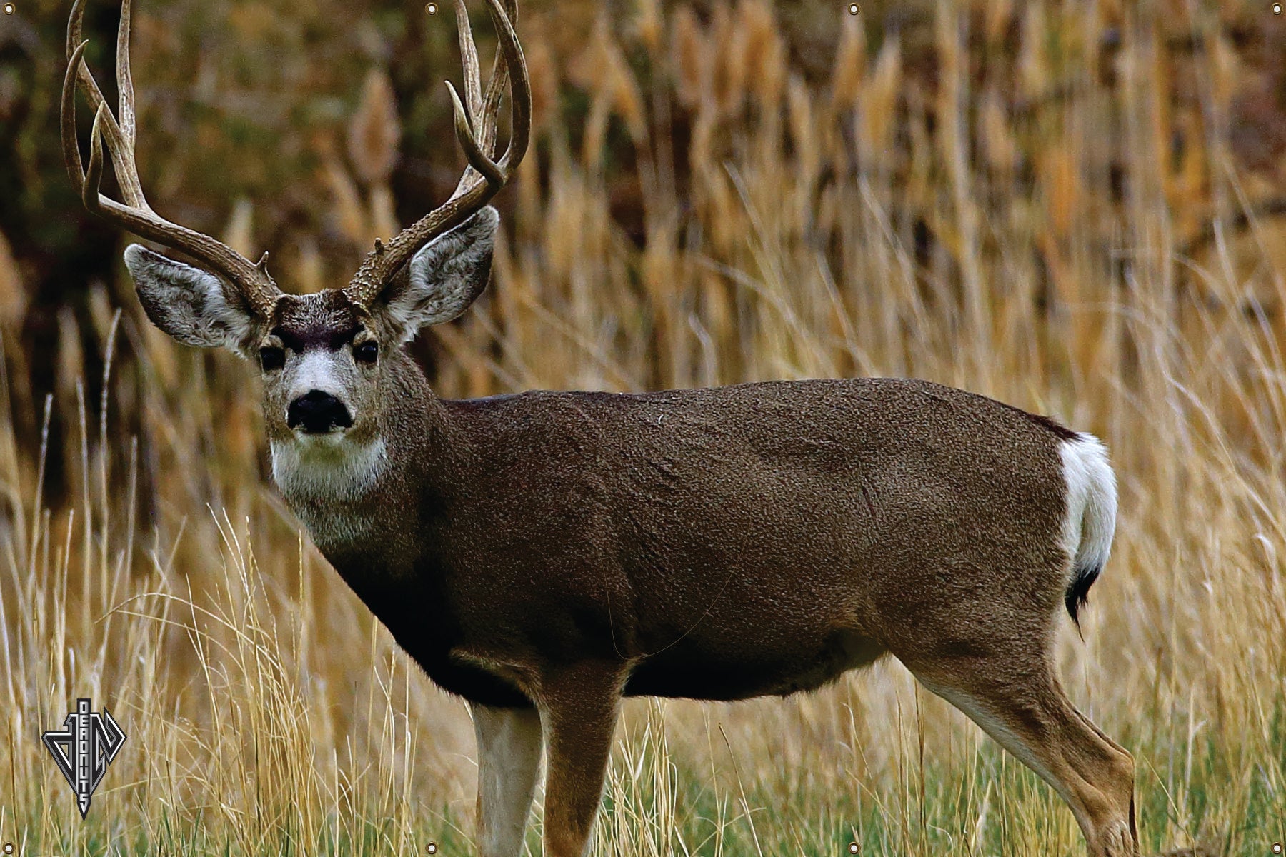 Deadnuts Mule Deer Broadside Lifesize Banner Target