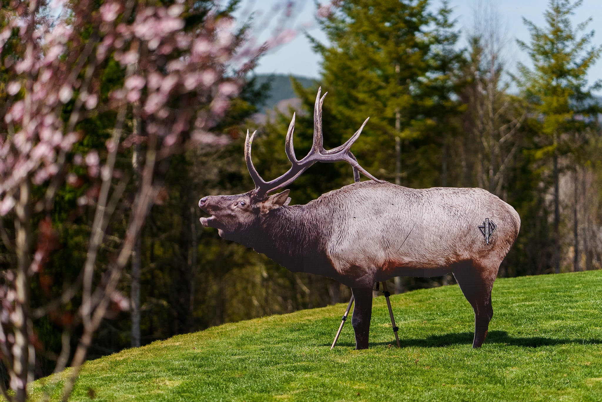 2D Bull Elk Broadside Target