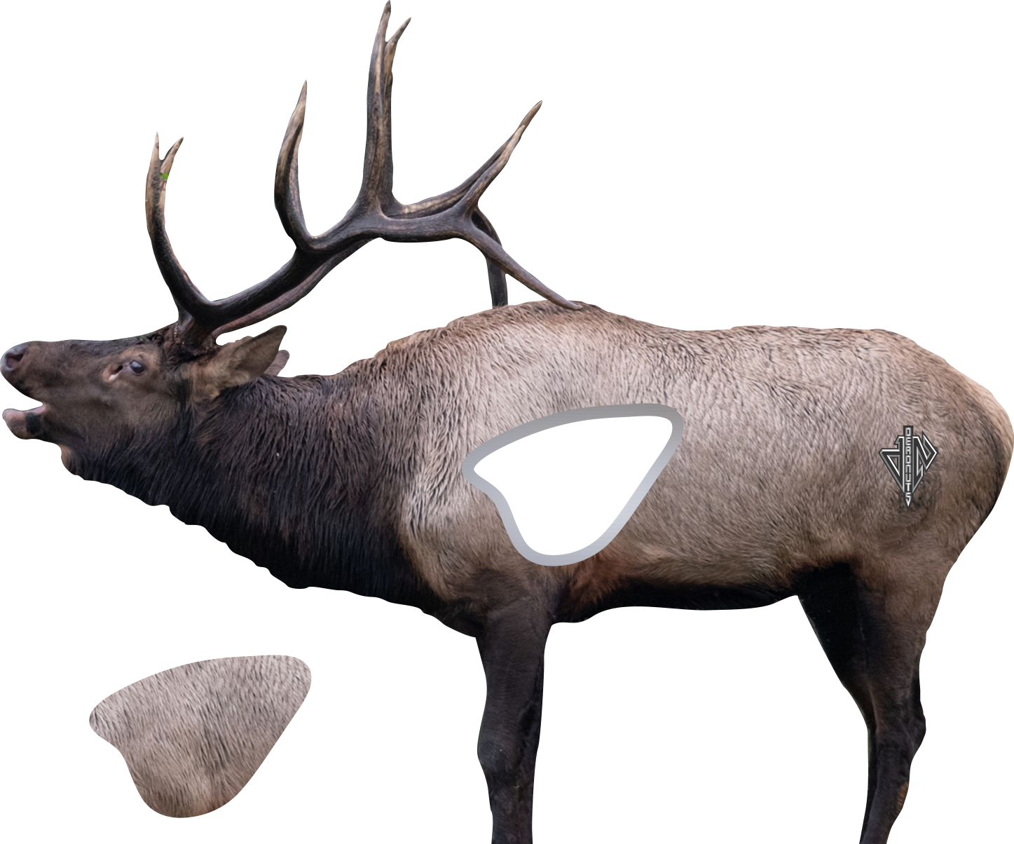 2D Bull Elk Broadside Target