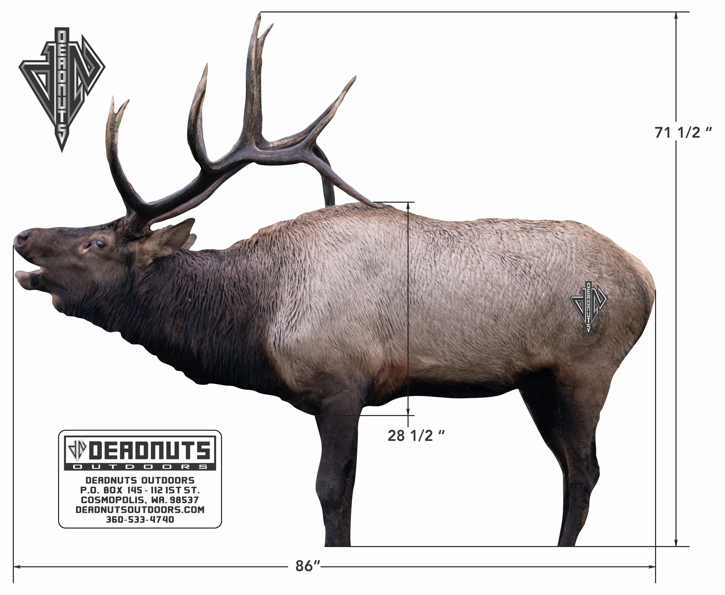 2D Bull Elk Broadside Target