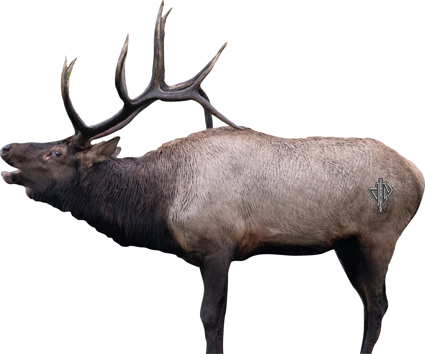 2D Bull Elk Broadside Target